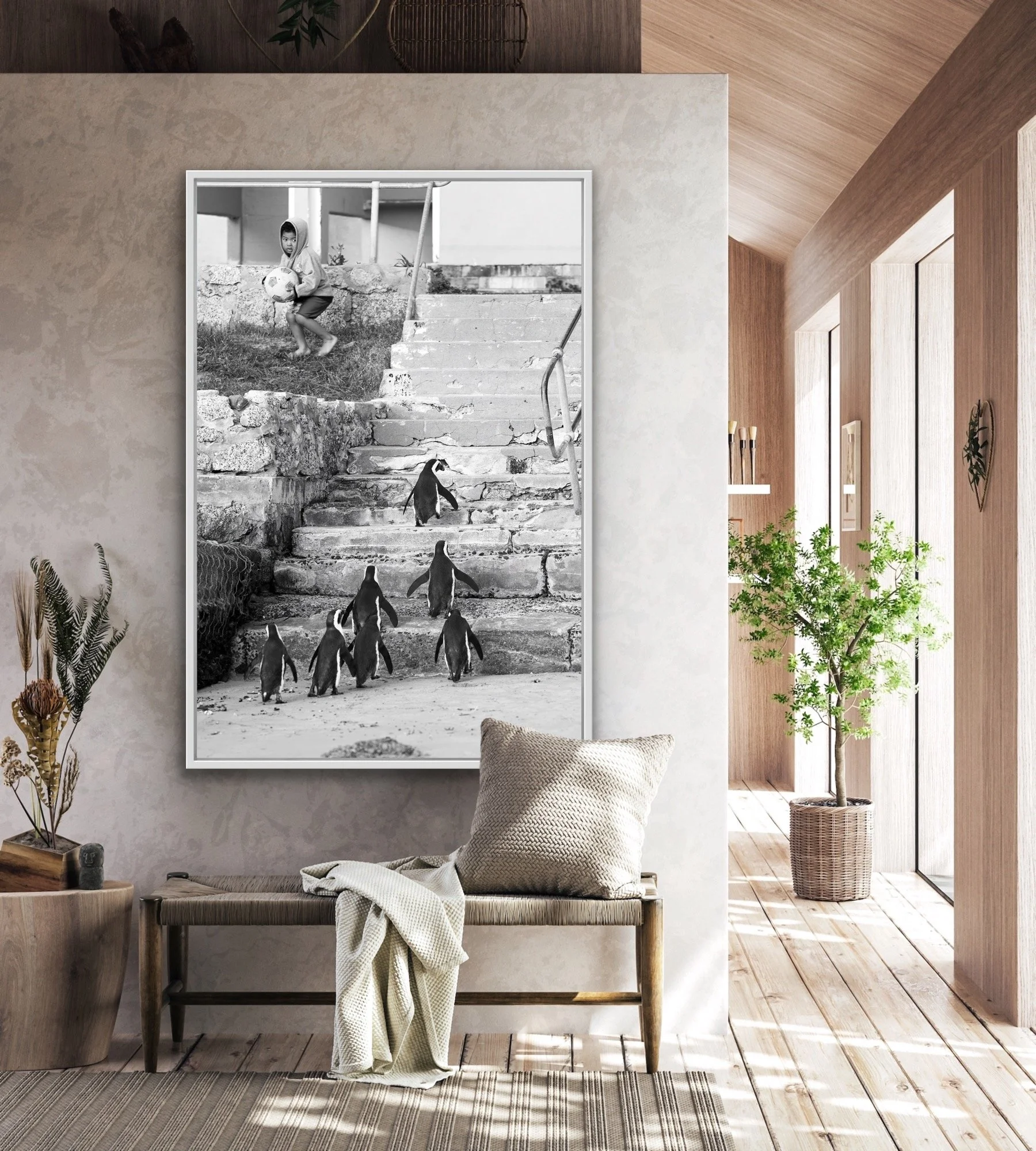 When Penguins Go Bad Finished in a custom white float frame by Dan Callister