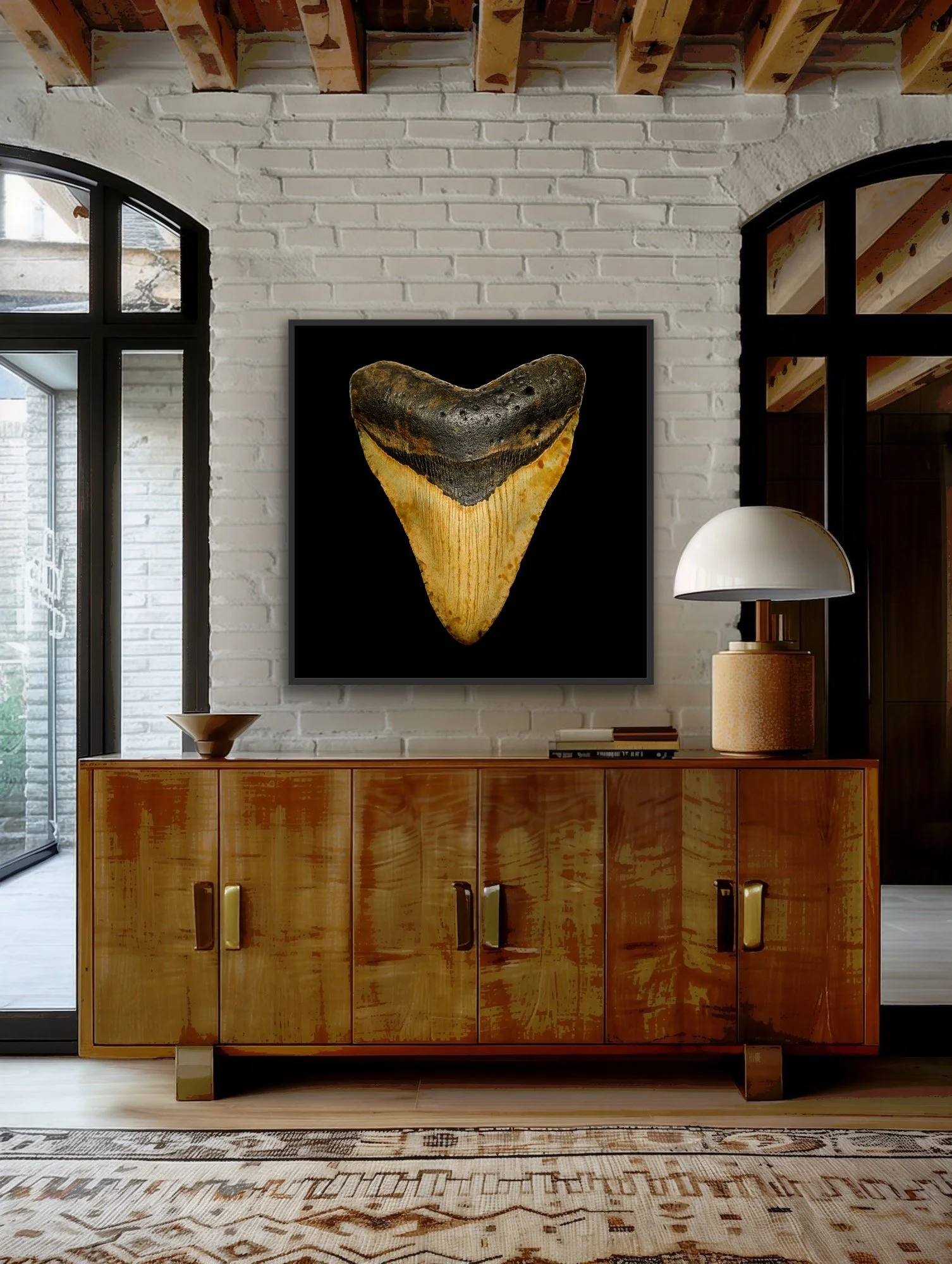 Megalodon Tooth finished in a custom black float frame by © Dan Callister