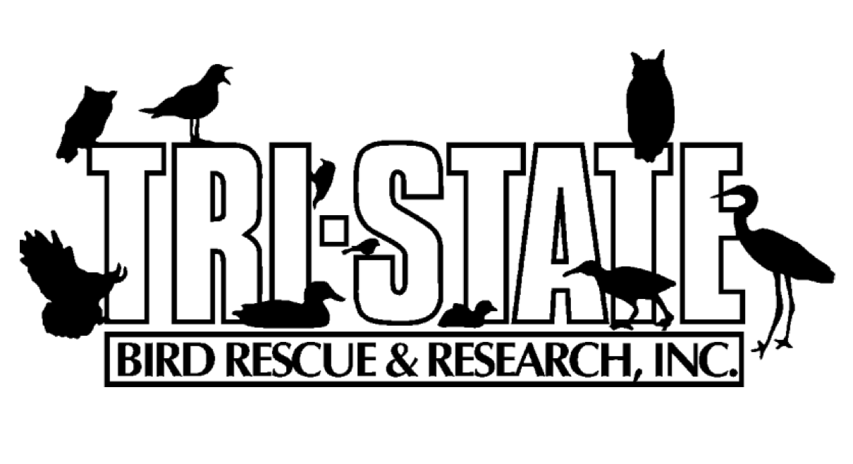 https://tristatebird.org