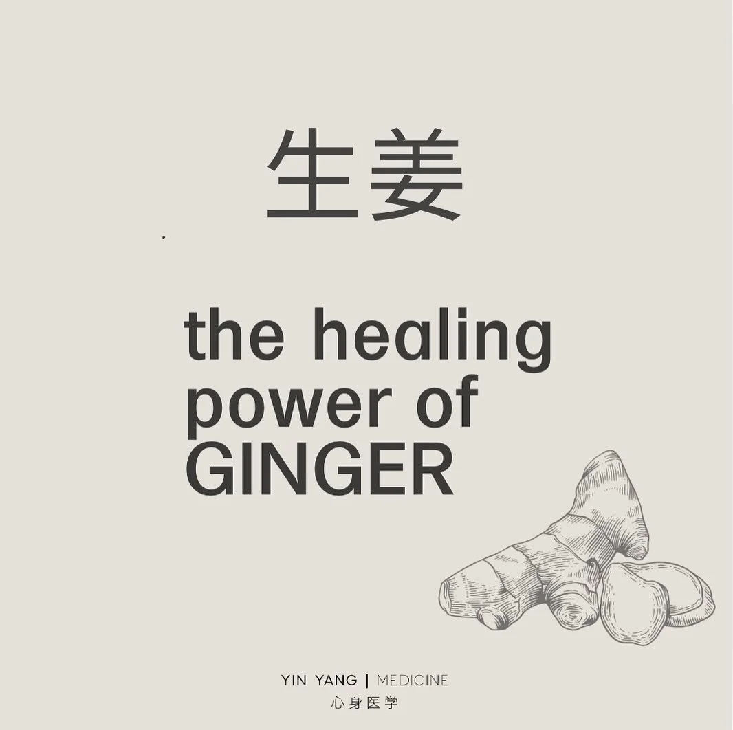The healing power of ginger 🌱

Ginger is a commonly used medicine in Chinese herbalism. Most commonly used for its warming properties and digestive benefits, modern research continues to demonstrate the healing power of this ancient root.