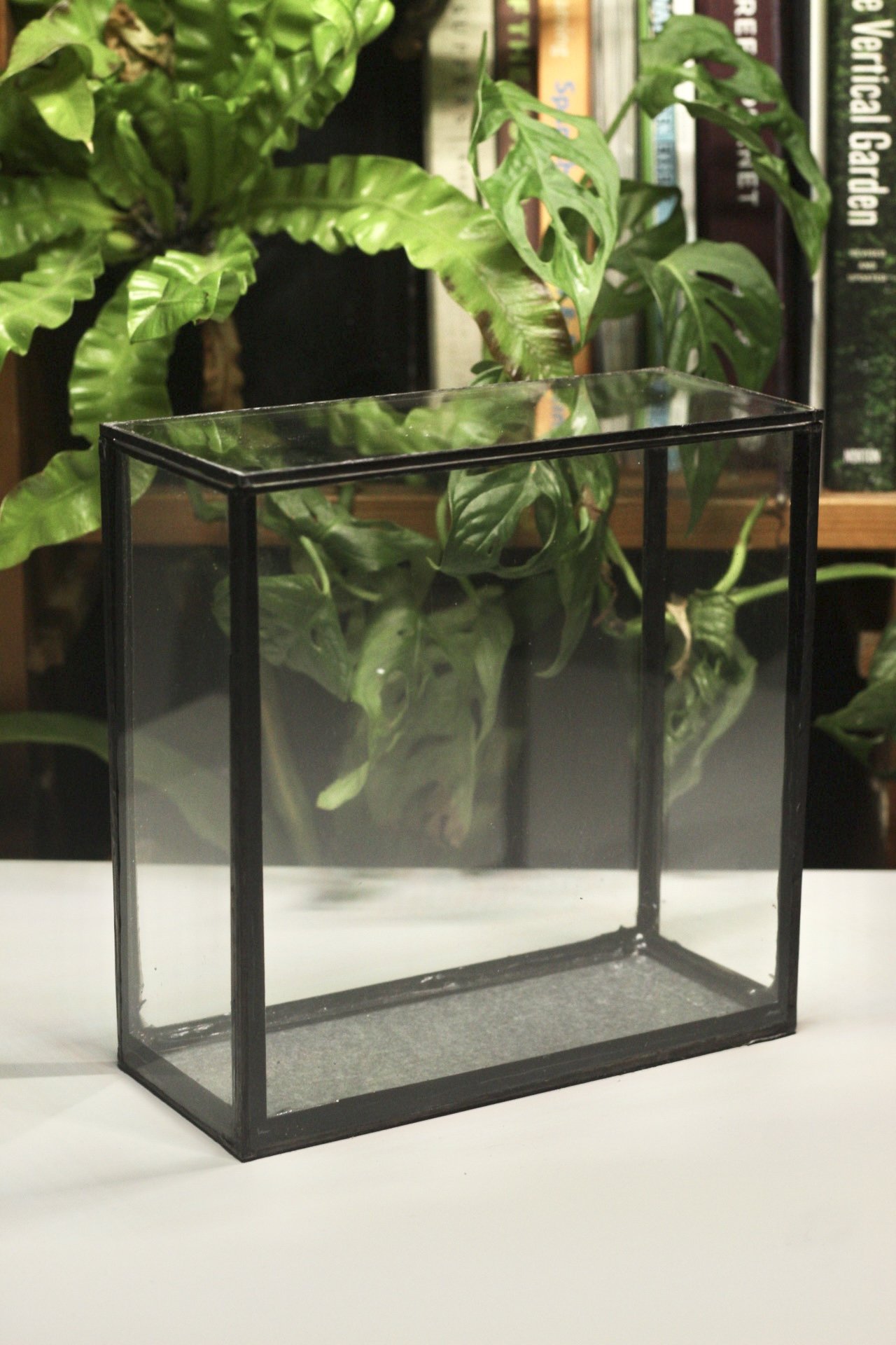 20/20/8.5cm square planted window empty/kit