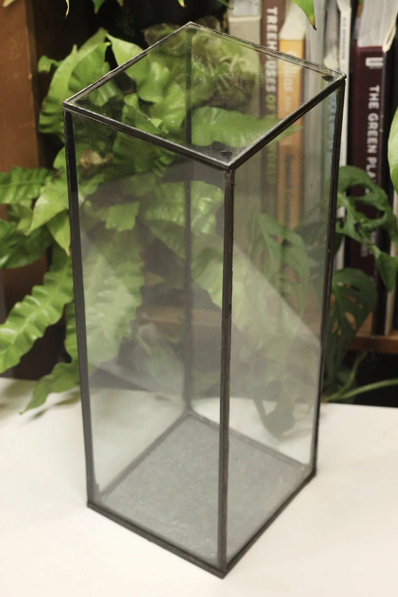 36/12/12cm column planted window empty/kit