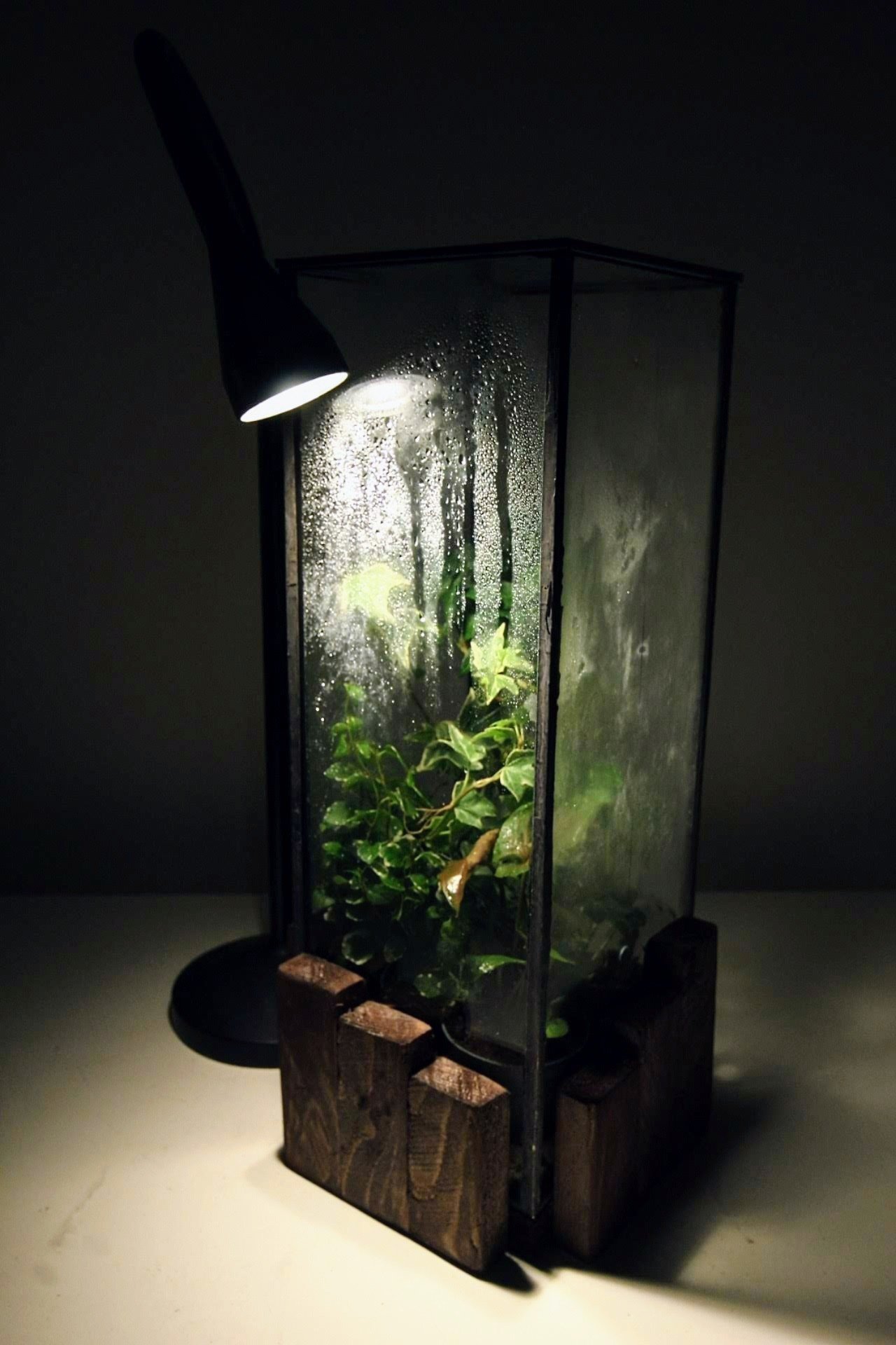 20211220234741_IMG_3208~3 3.JPG