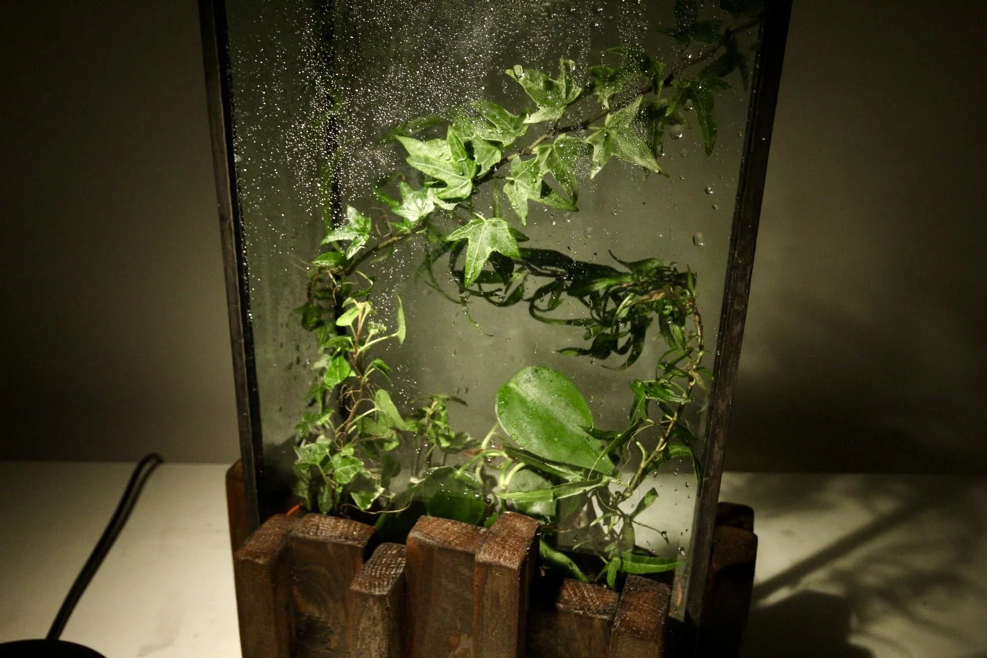 20220221215916_IMG_4149 2.jpg