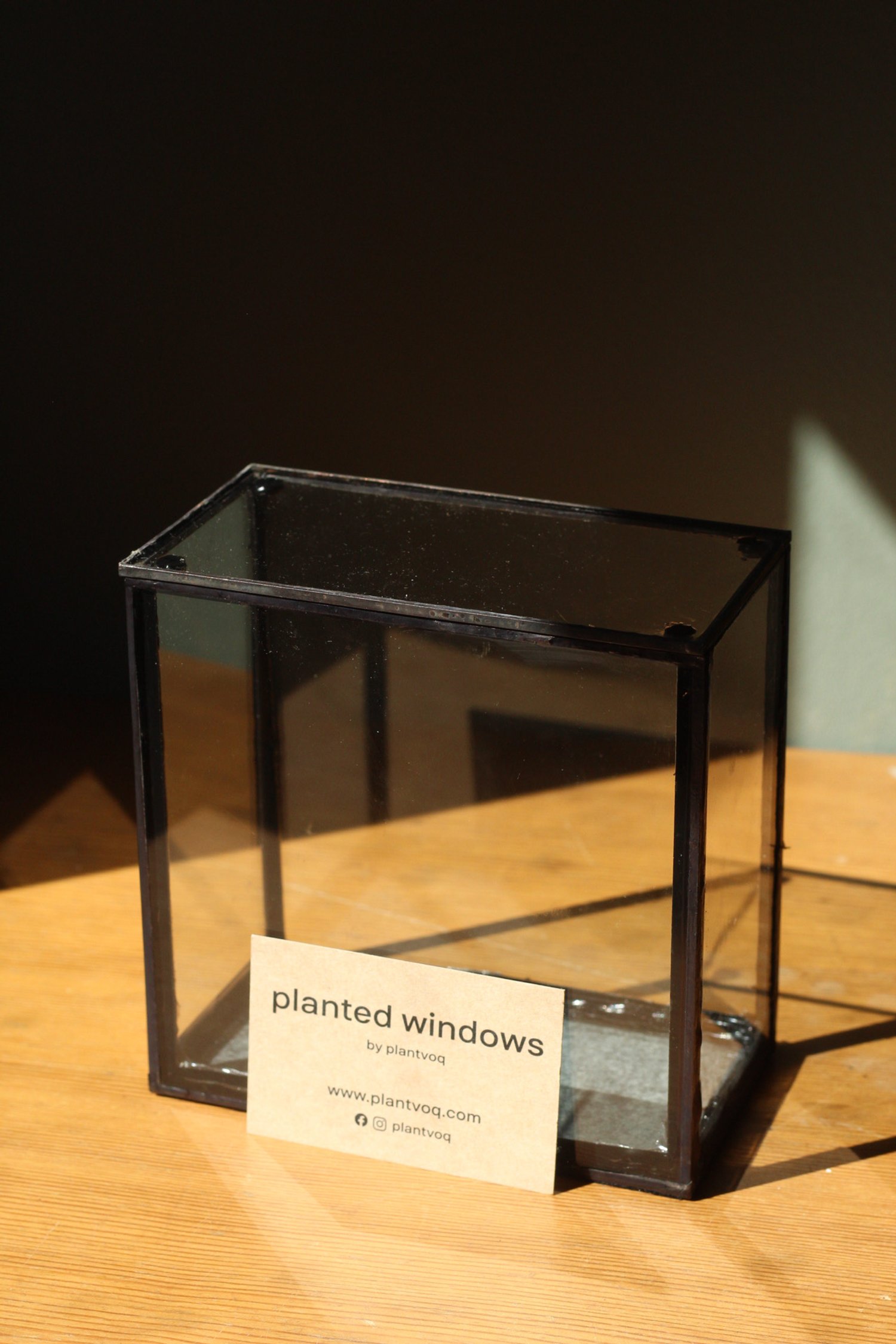 15/15/8cm mini square planted window empty/kit