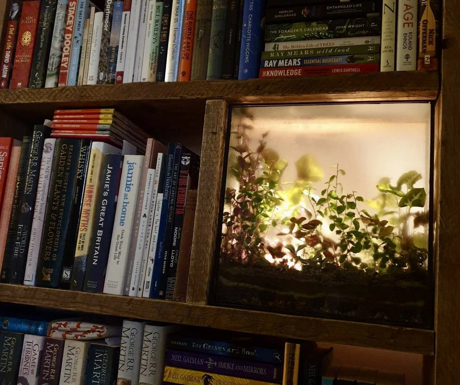 IMG_20230323_141956_533 2.jpg