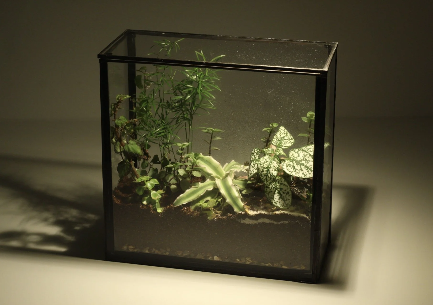 MEDIUM SQUARE - SLIM