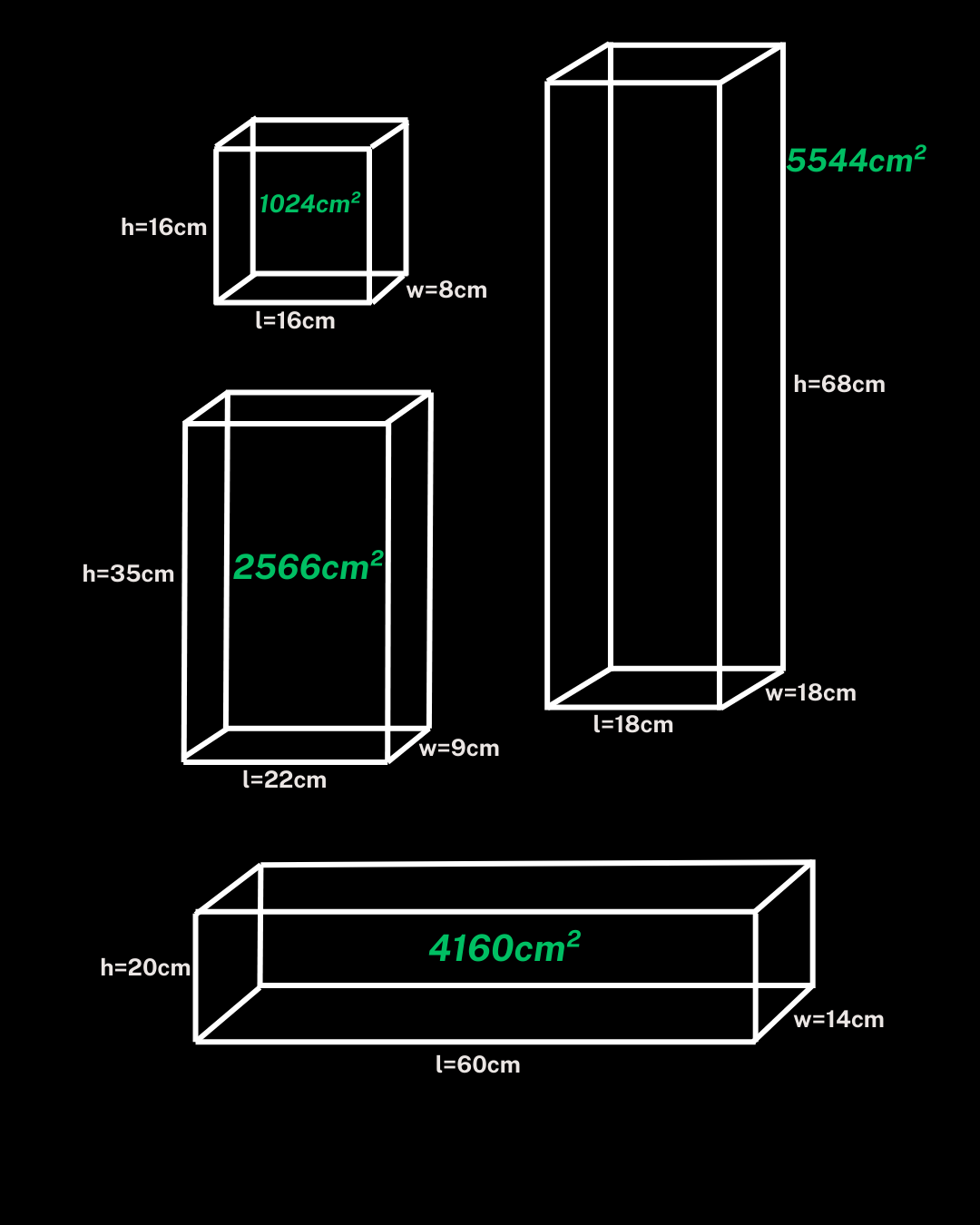 Plant window terrarium guide
