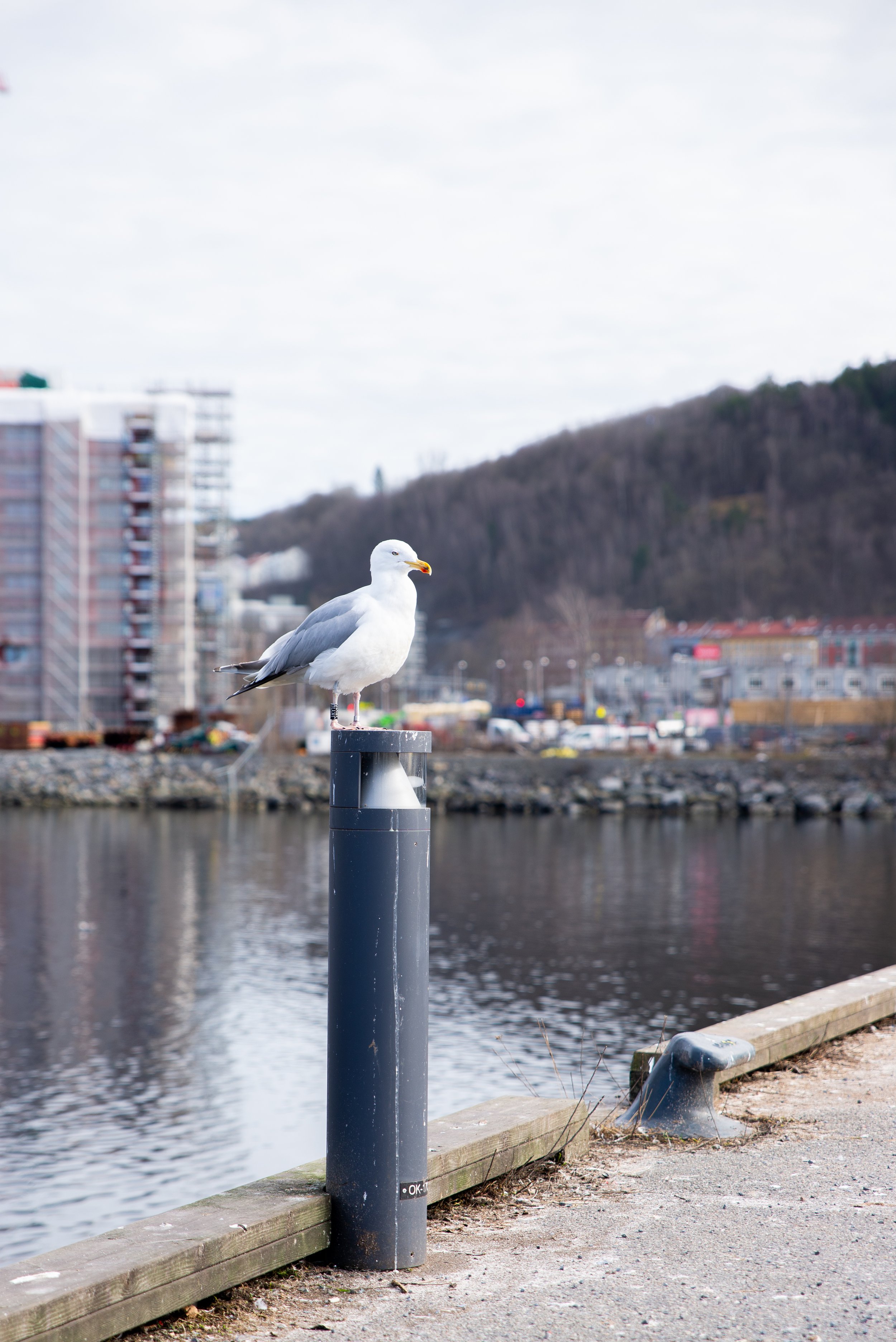 teambuilding, urban natur, oslo, bærum