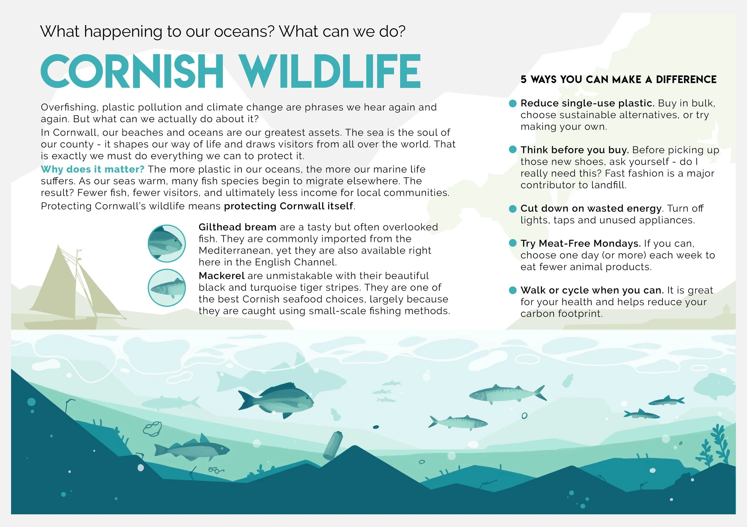 PCK_CornishWildlife.jpg