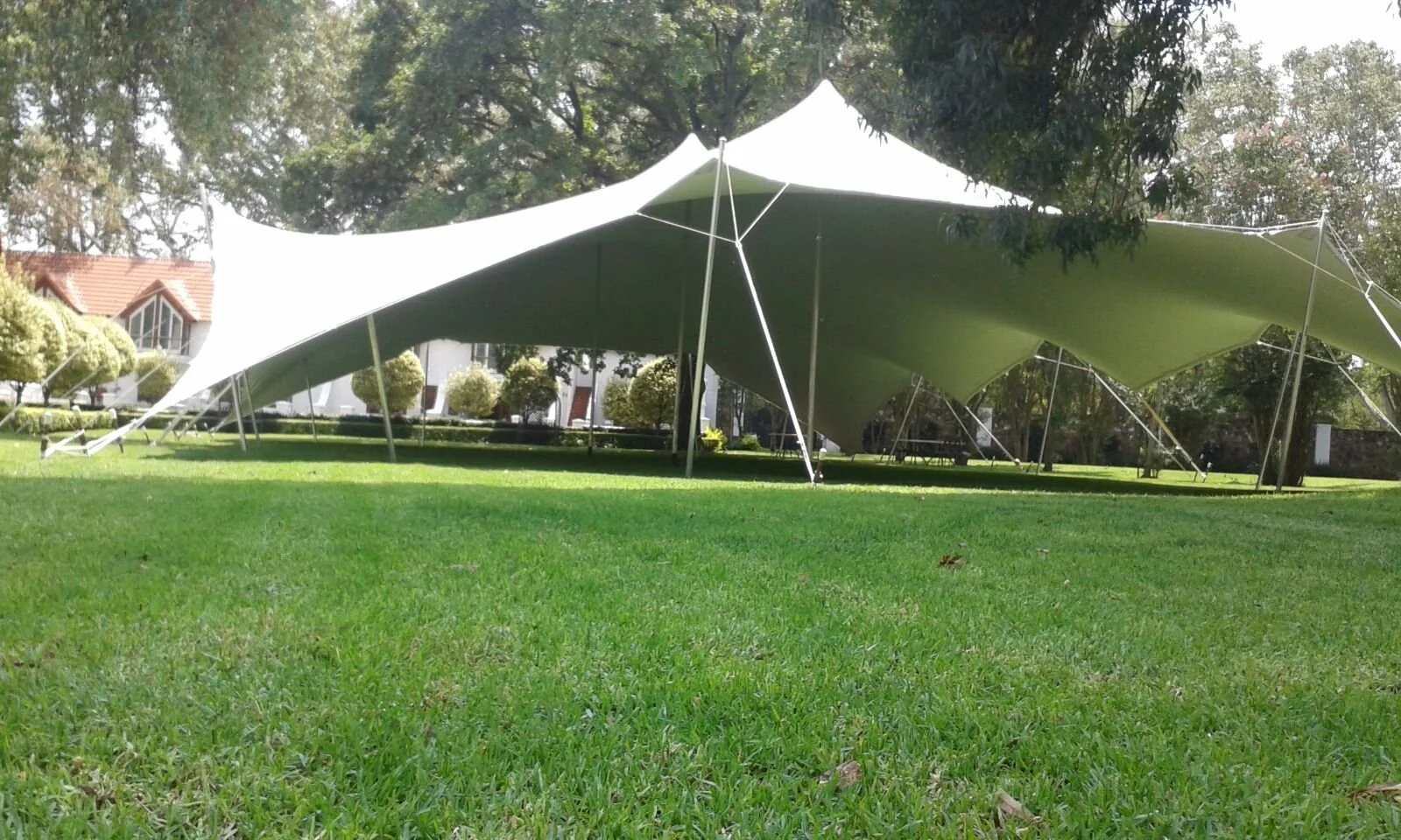 a1b9cbdb0a27690232a2bb347b5b0e1c (2).jpg