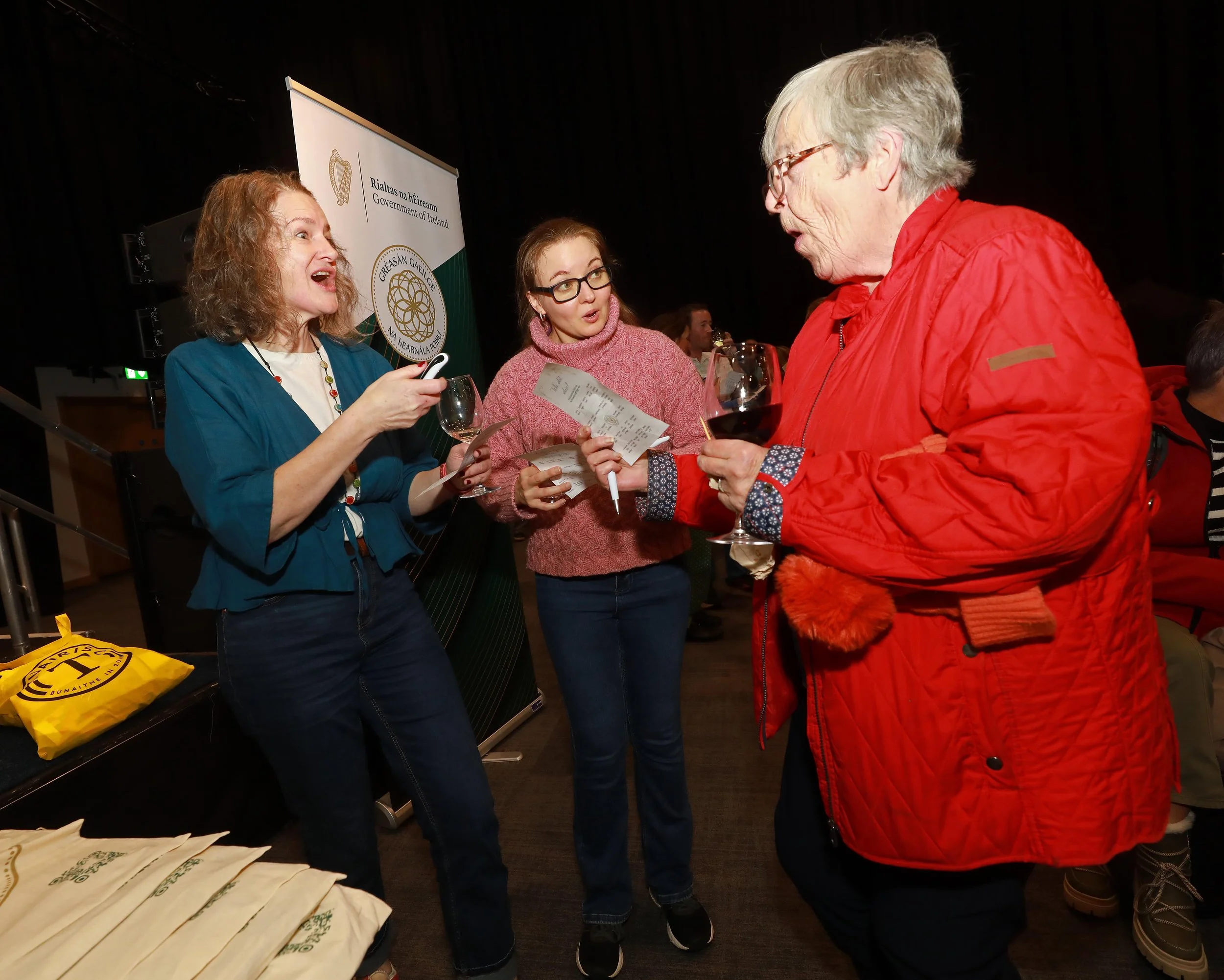 Thurs Extra Oireachtas 301025JC004.JPG