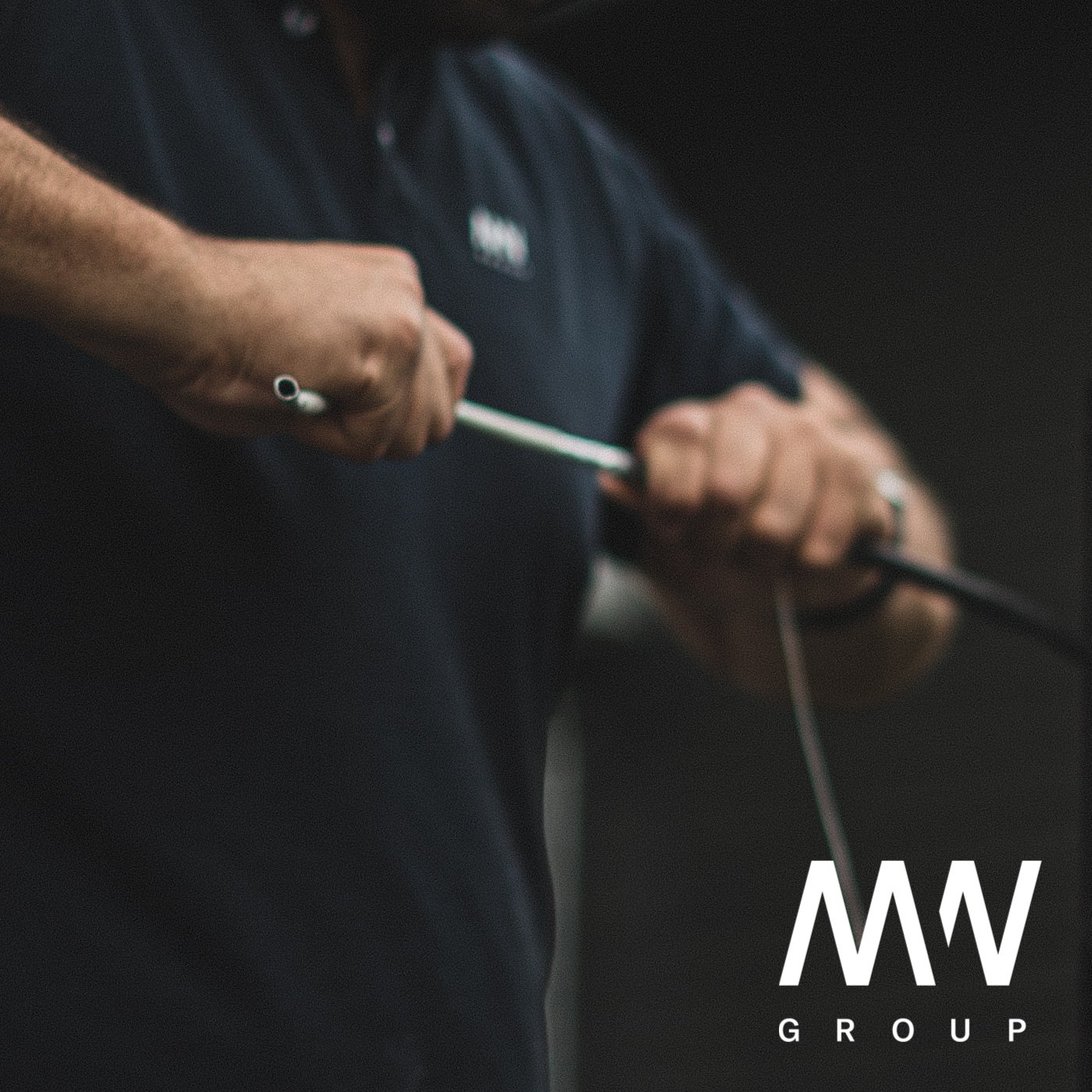 MW Group - Logo-20.jpg