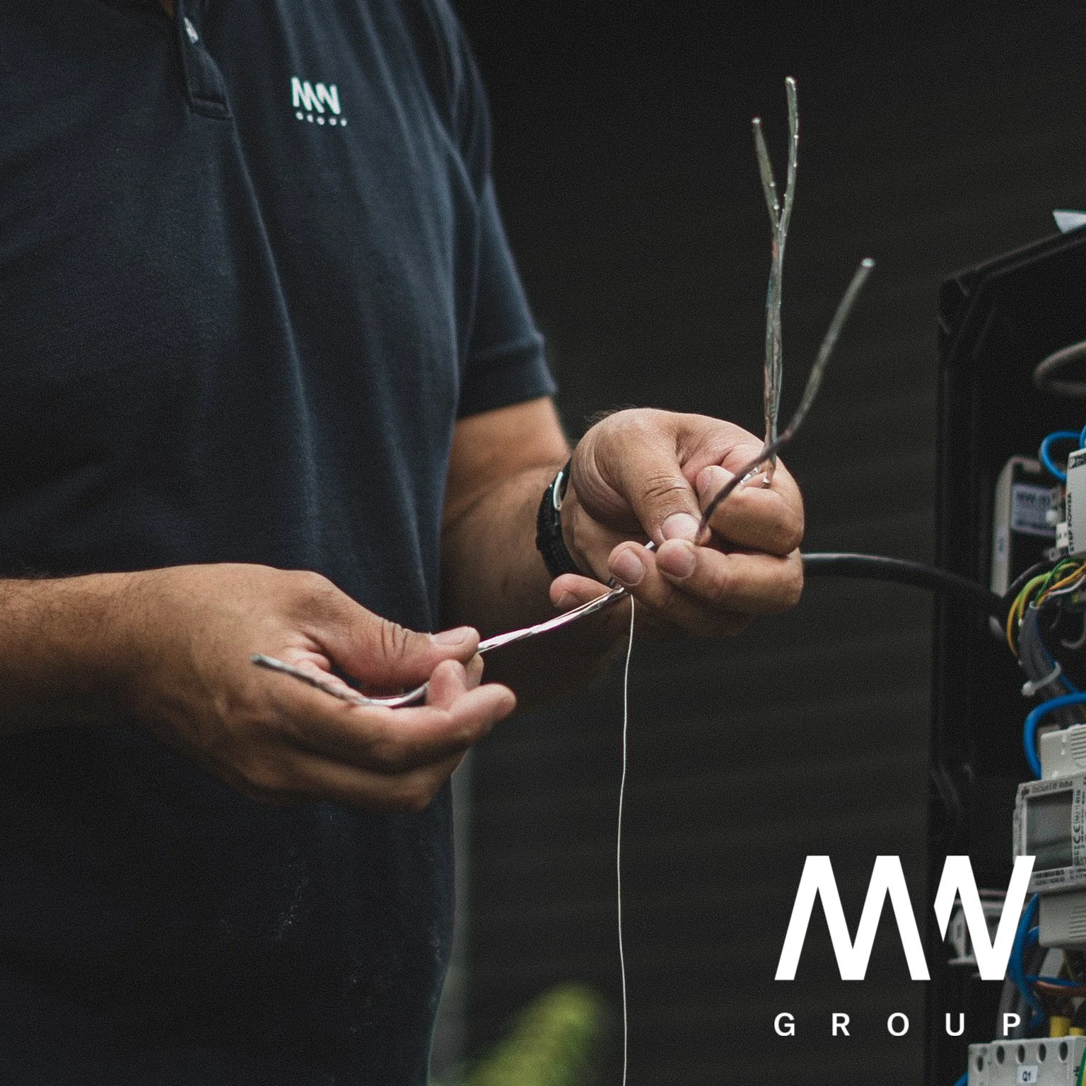 MW Group - Logo-21.jpg