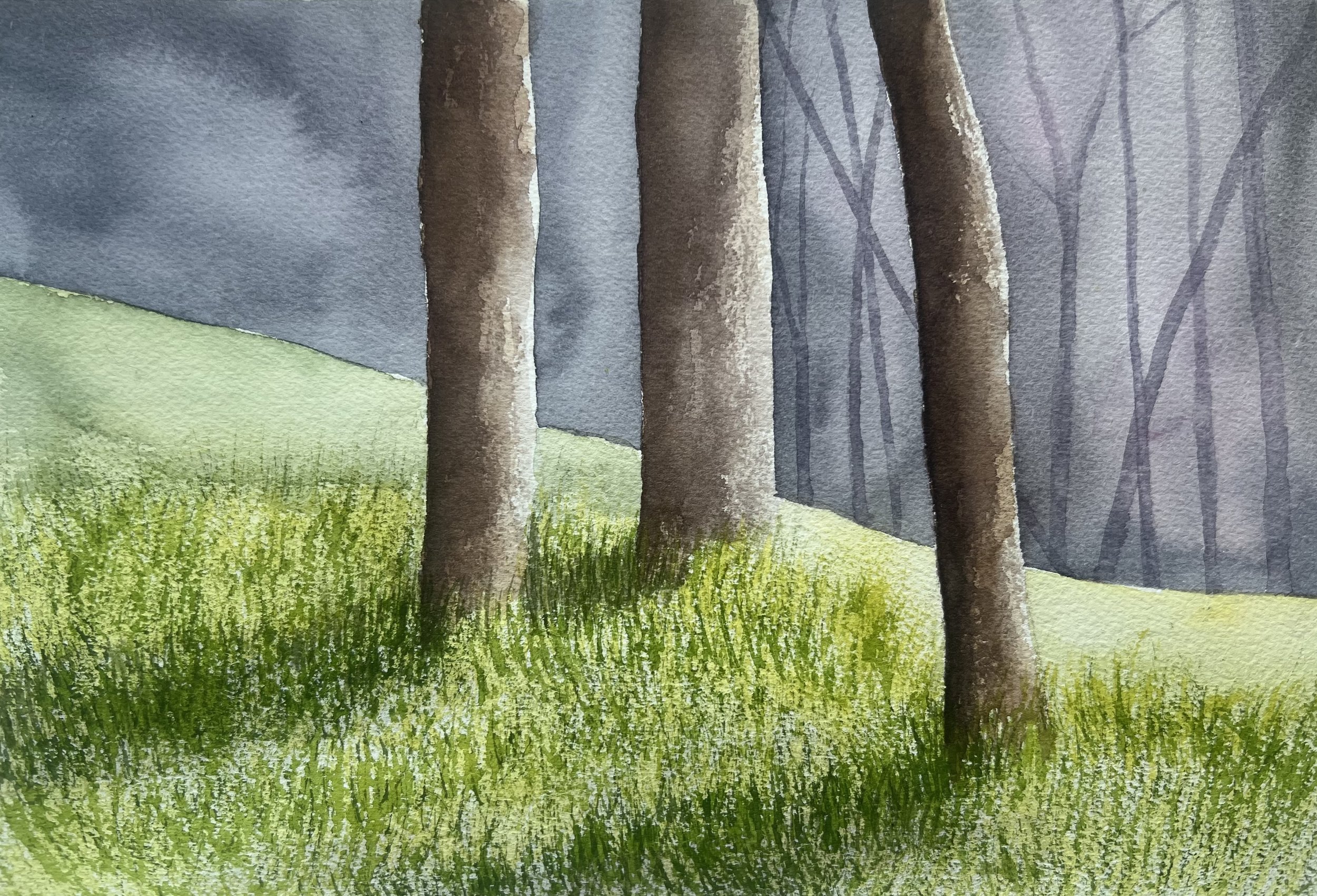 Discover Watercolour Painting: Let’s Paint a Misty Woodland