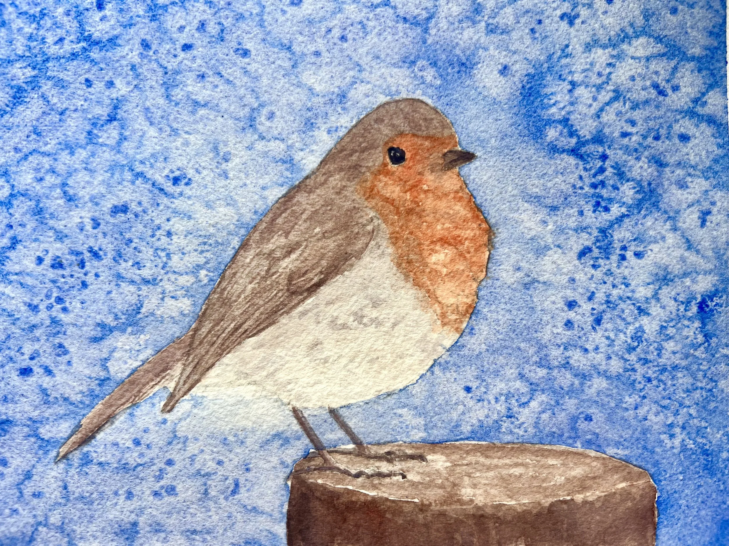 Discover Watercolour Painting: Let’s Paint a Wintery Robin