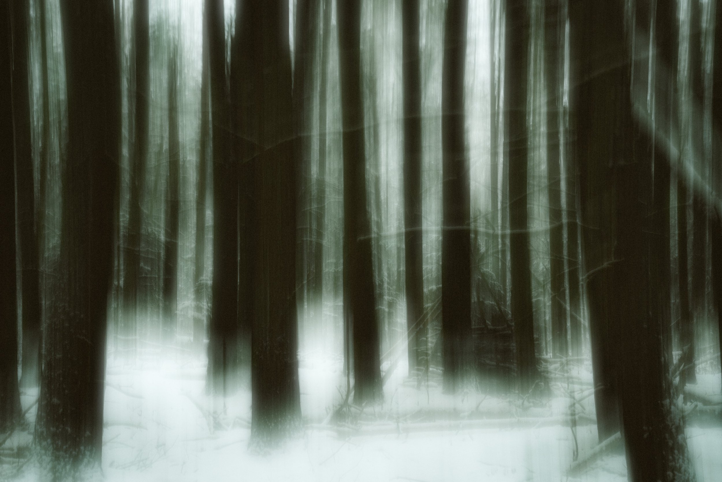 piluwapotasu (2025)
digital print, intentional camera movement 