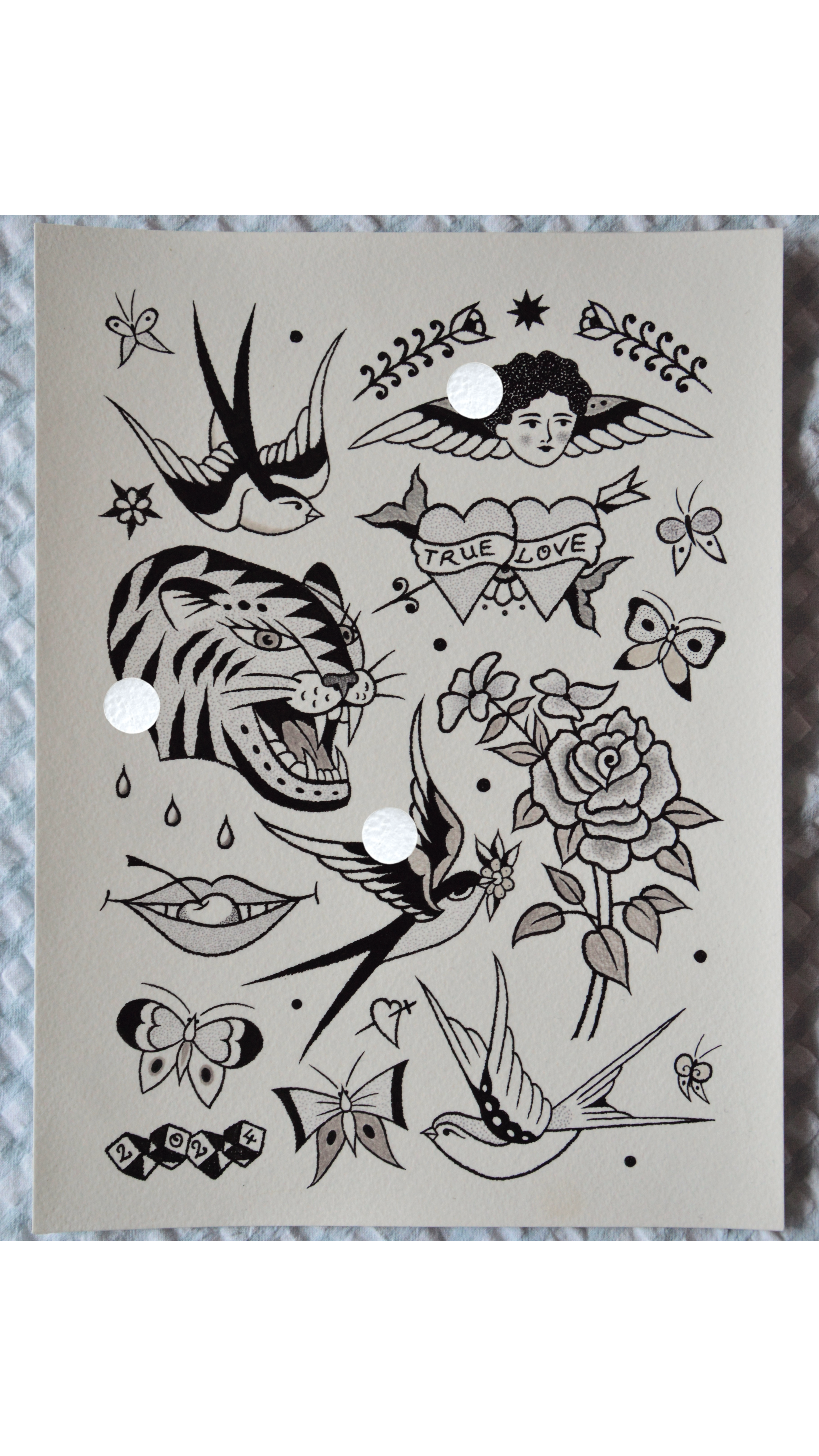 6134A055-7C07-4A46-A2A6-D6E10792F5F6.png
