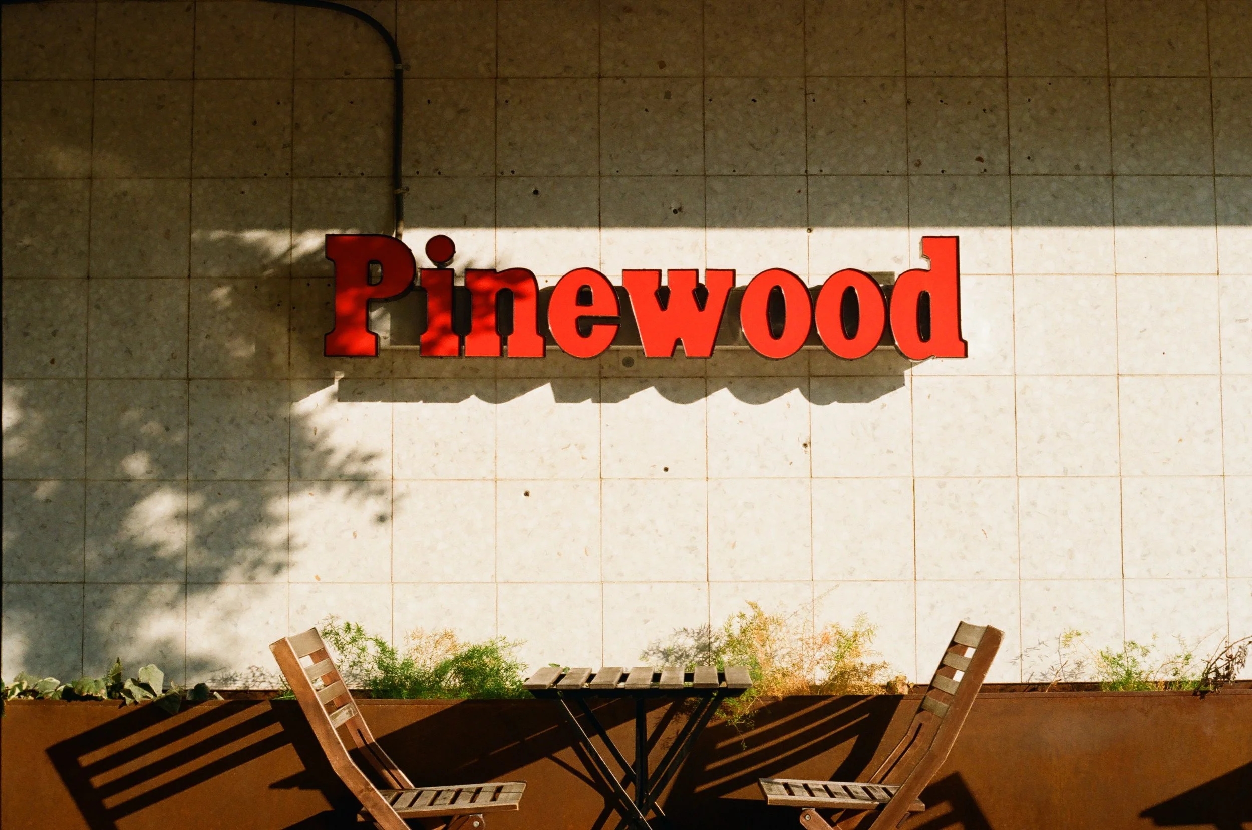 An original image taken at Pinewood Coffee Bar in Waco, Texas.