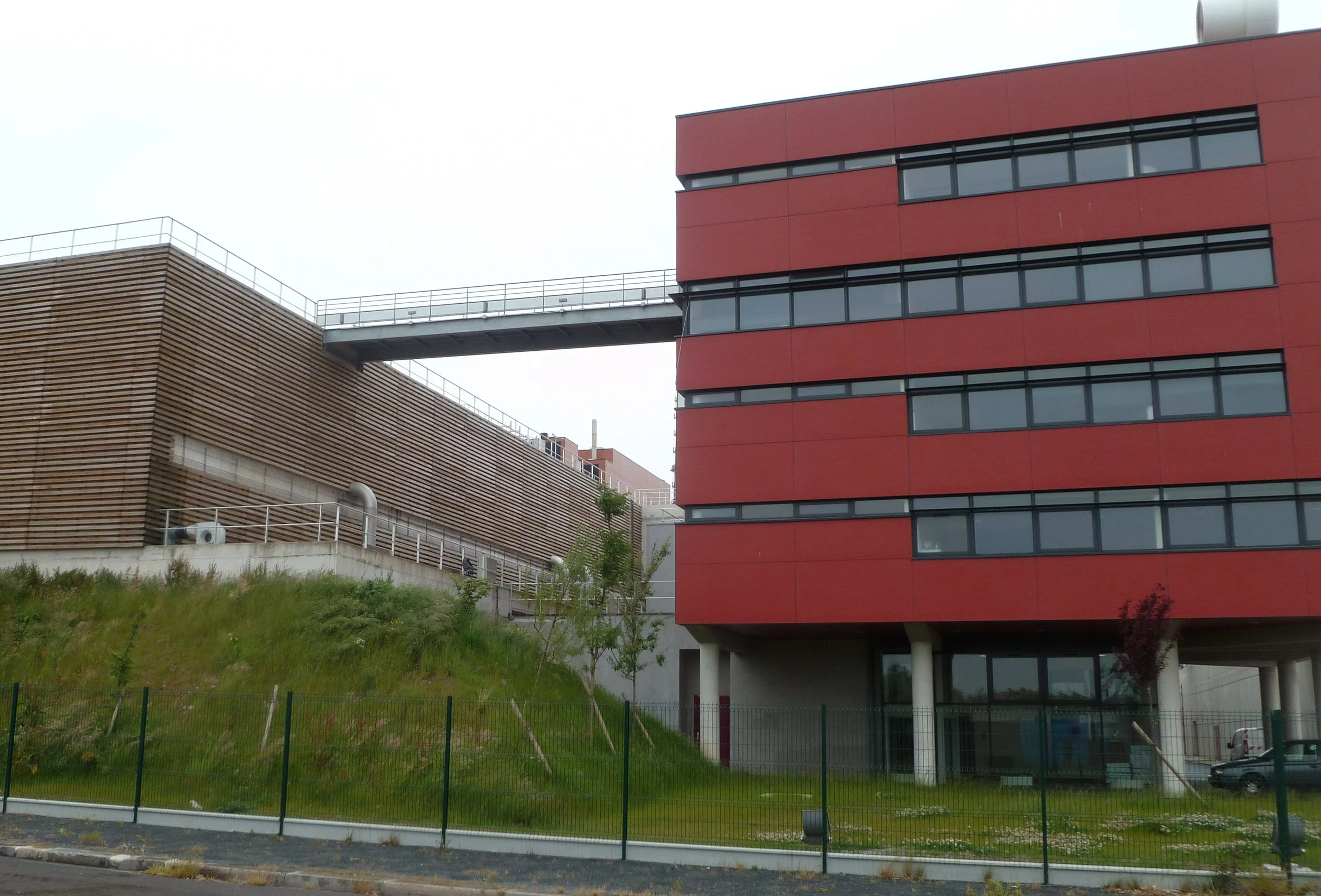 image23.jpeg