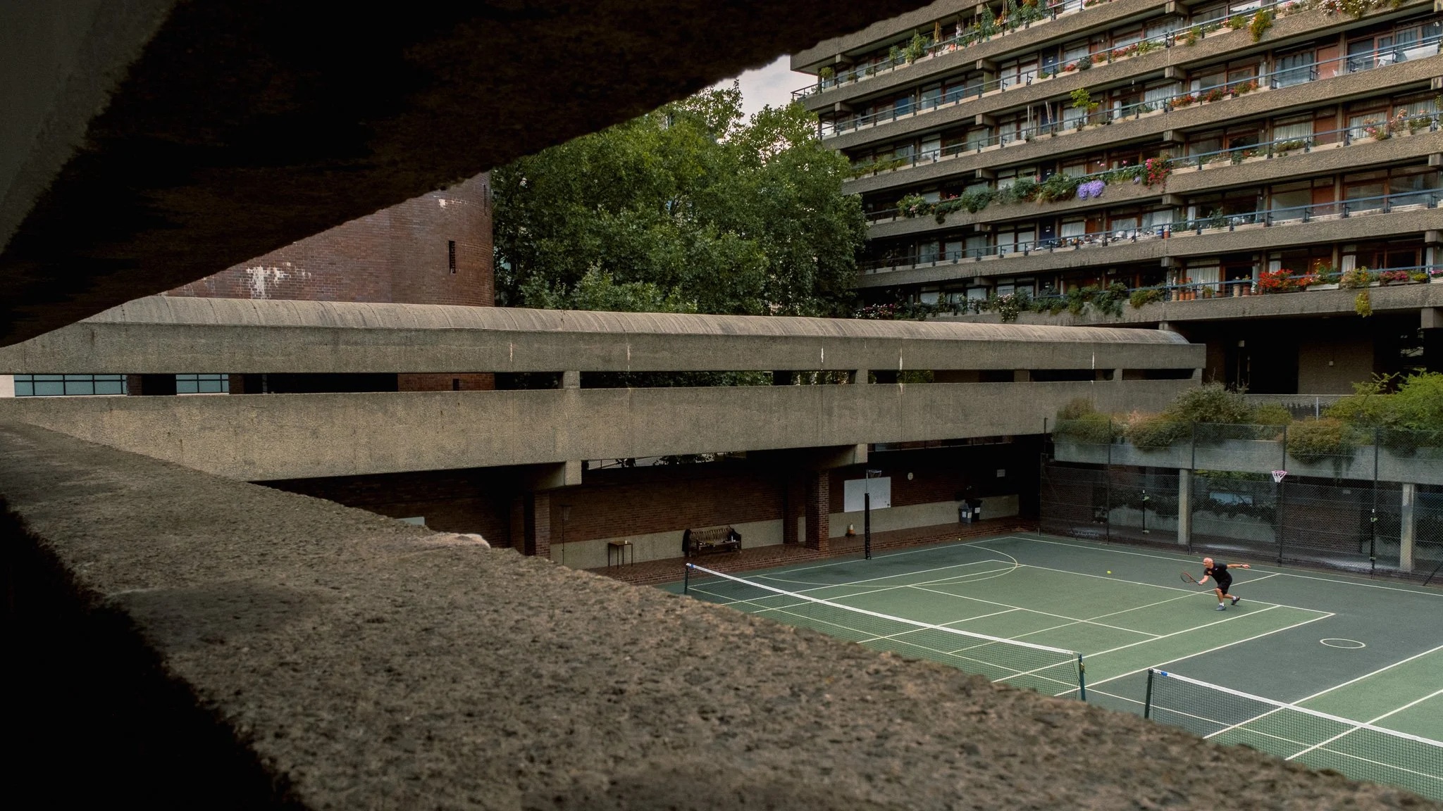 FUJIFILM X-T50 7728x5152_000389-2.jpg