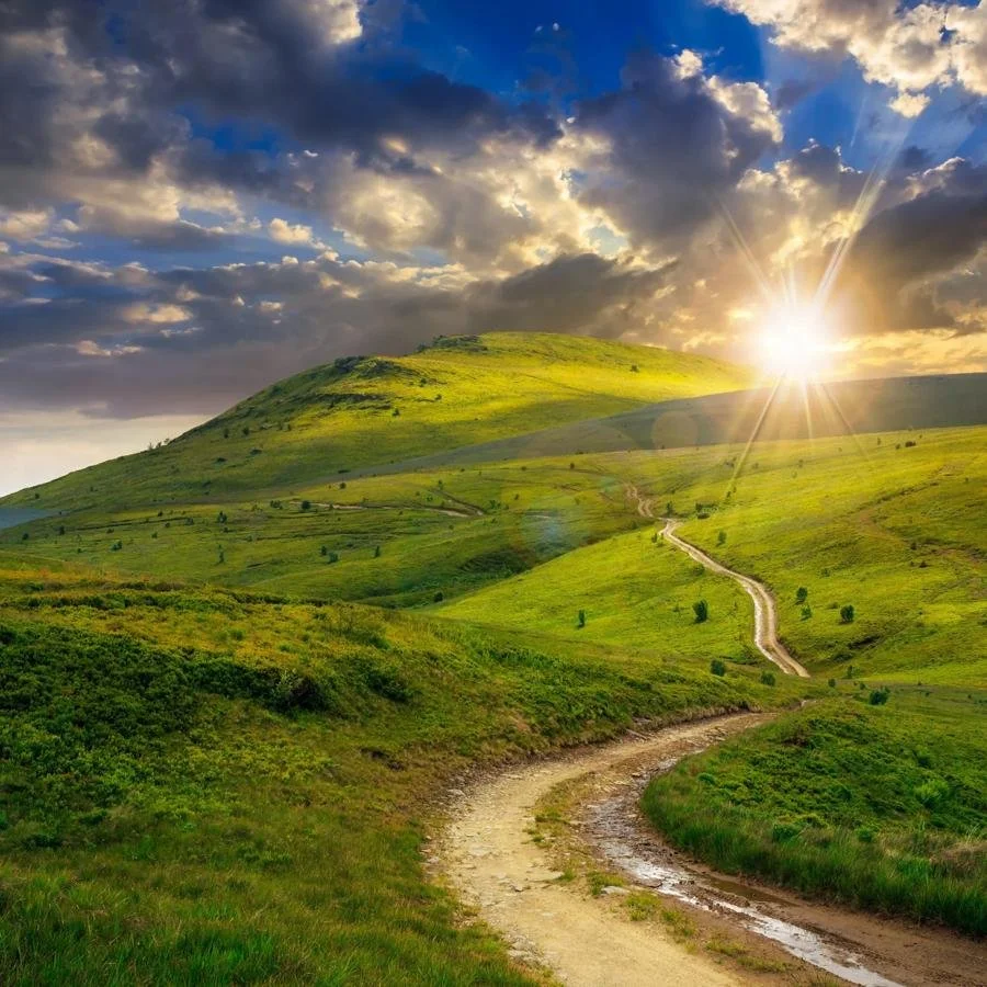 Your Roadmap to 2025: Small Wins, Big Transformation