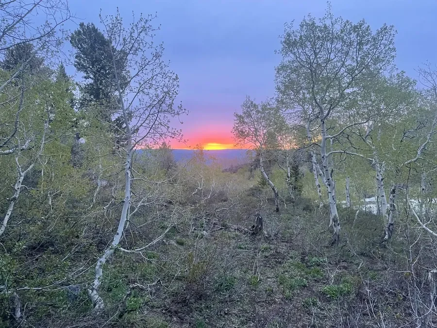 The Gift of Letting Go: How I Stopped Letting Fear of Embarrassment Hold Me Back