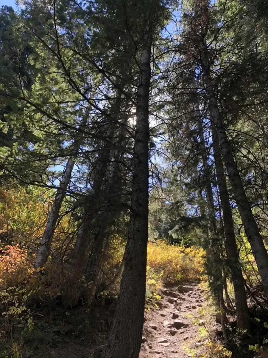 Called by the Mountains: How One Hike Sparked a Life-Changing Journey