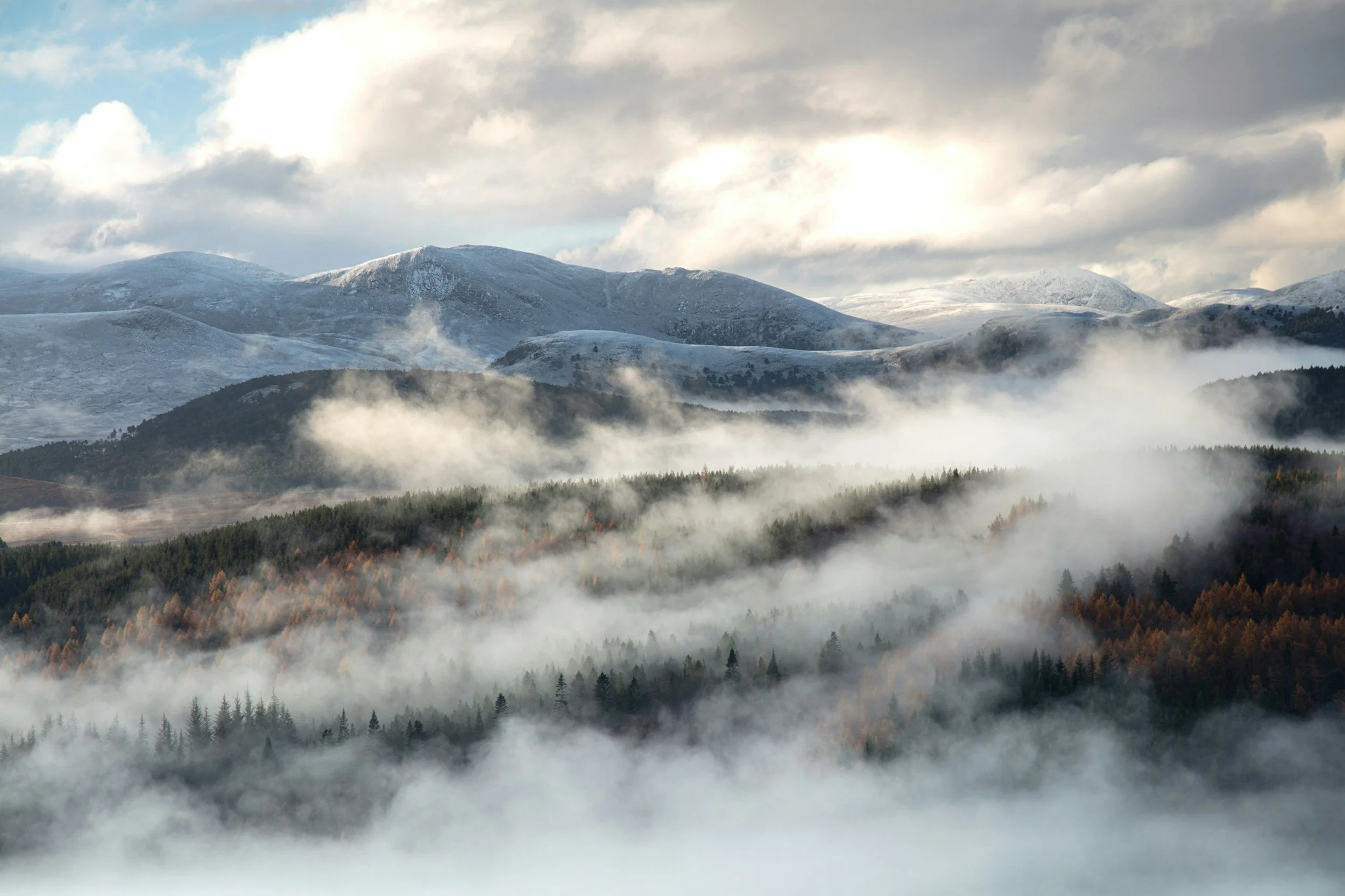 Misty mountain landscape with layered fog drifting through forested hills, symbolizing reflection, resilience, and intentional well-being.