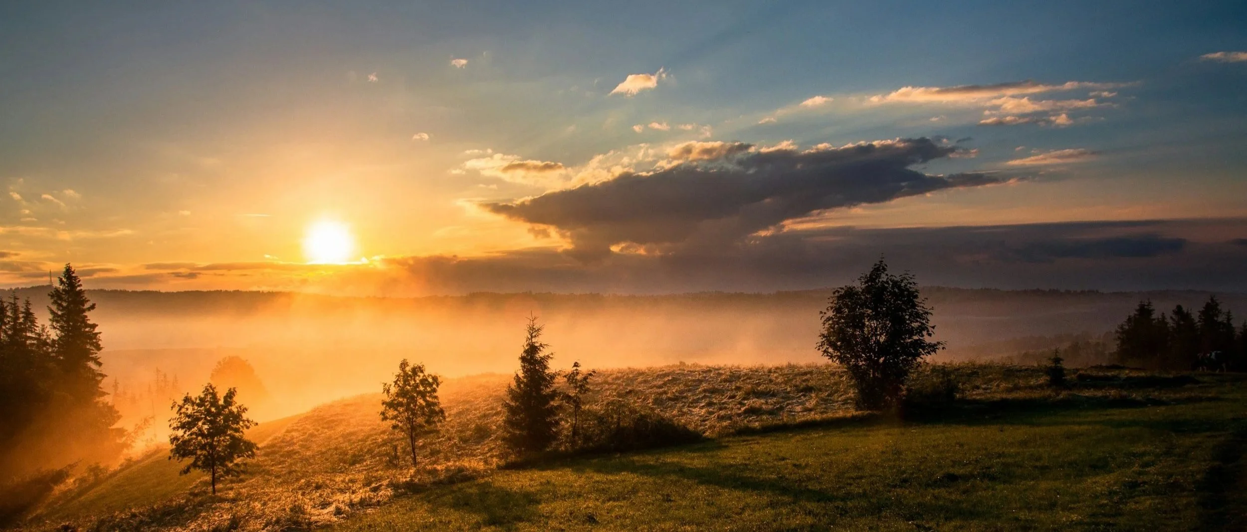 Sunrise over rolling hills with mist rising above trees and a soft golden sky.