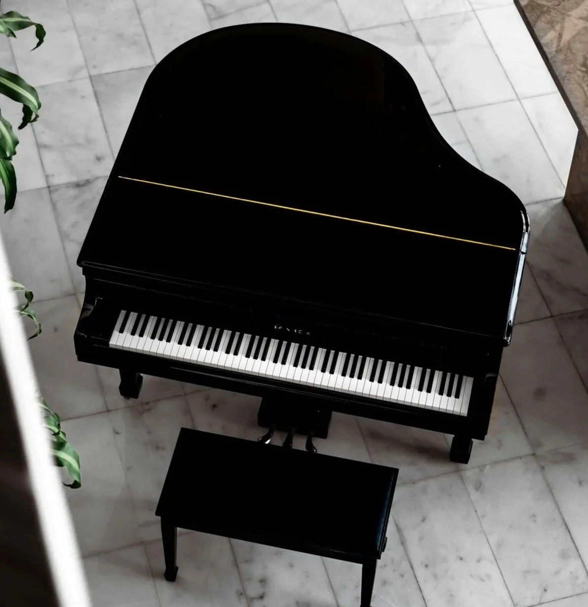 A black baby grand piano with a matching bench, seen from above on a marble floor, with a partial view of a green leafy plant on the left side.