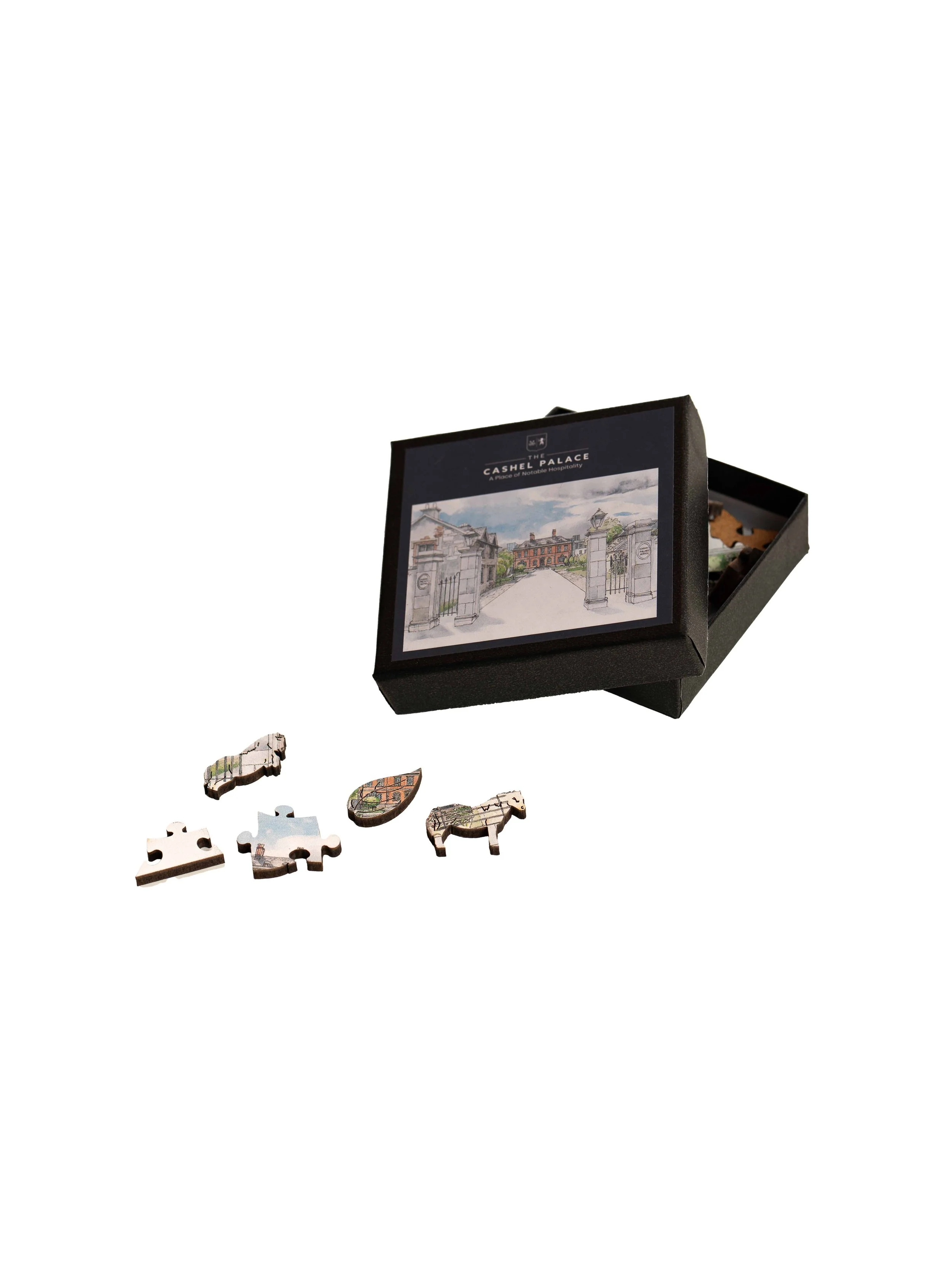 Puzzle 2 Reduced.jpg