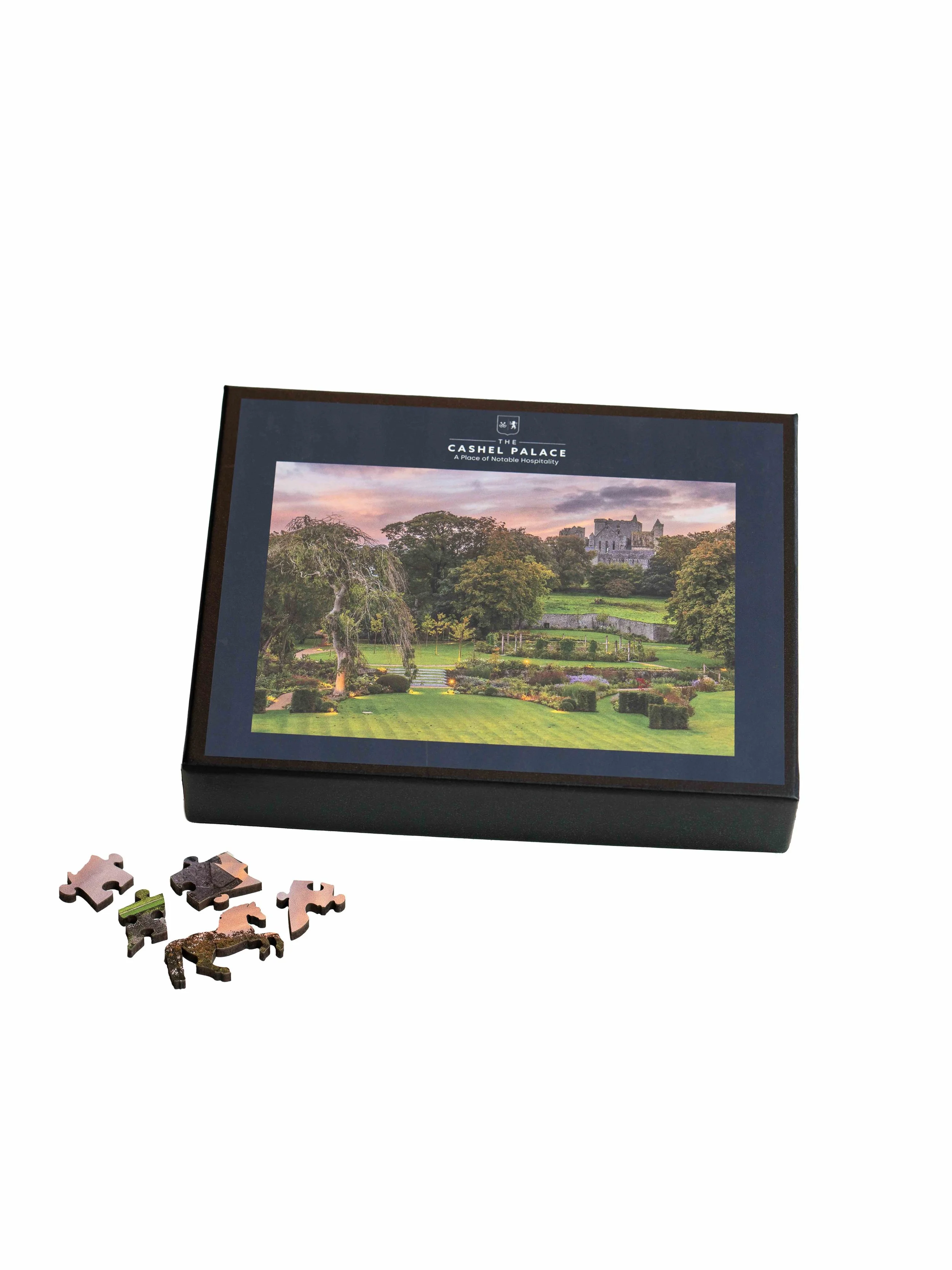 Puzzle 1 Reduced.jpg