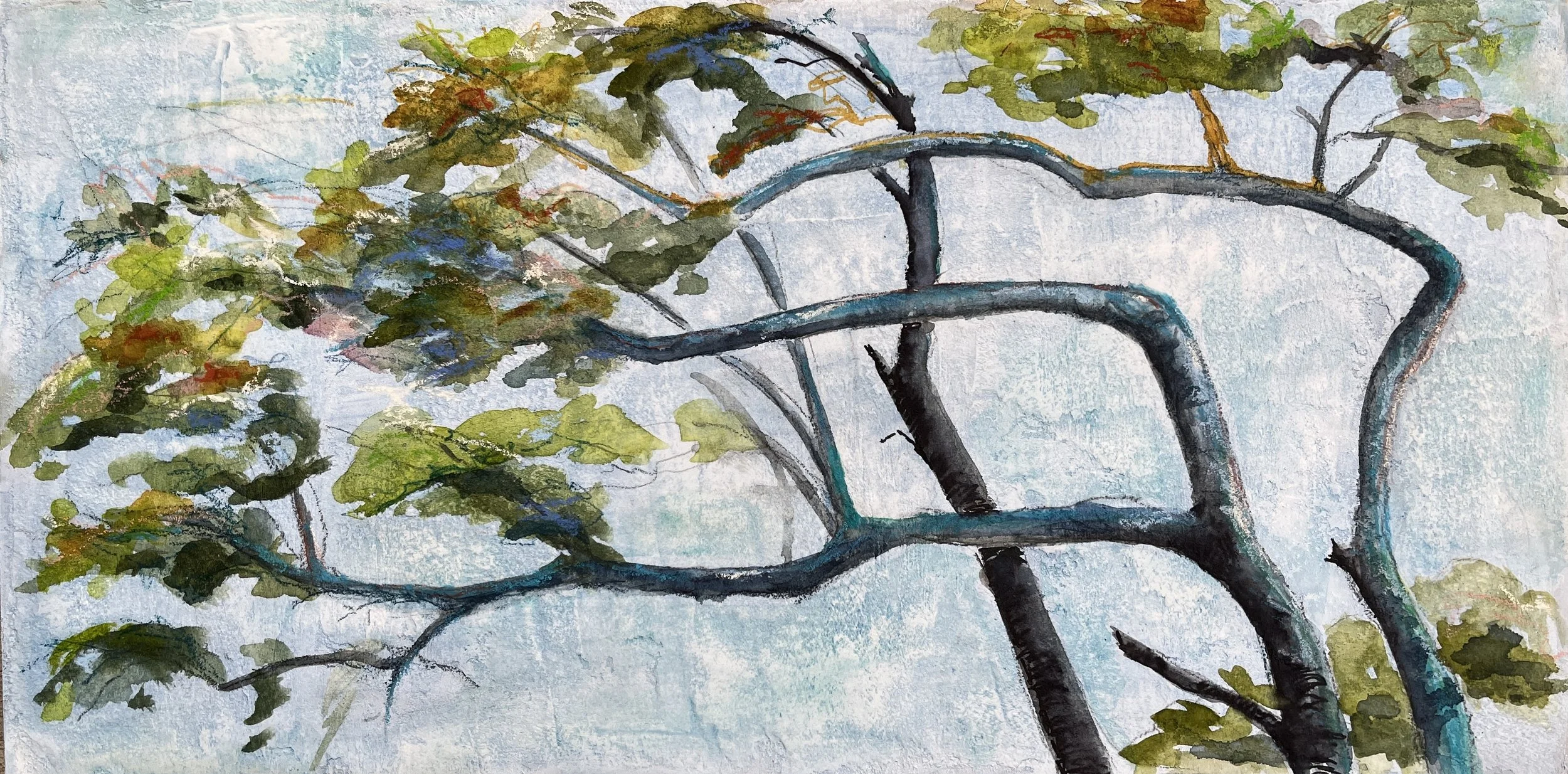 Living with the Wind