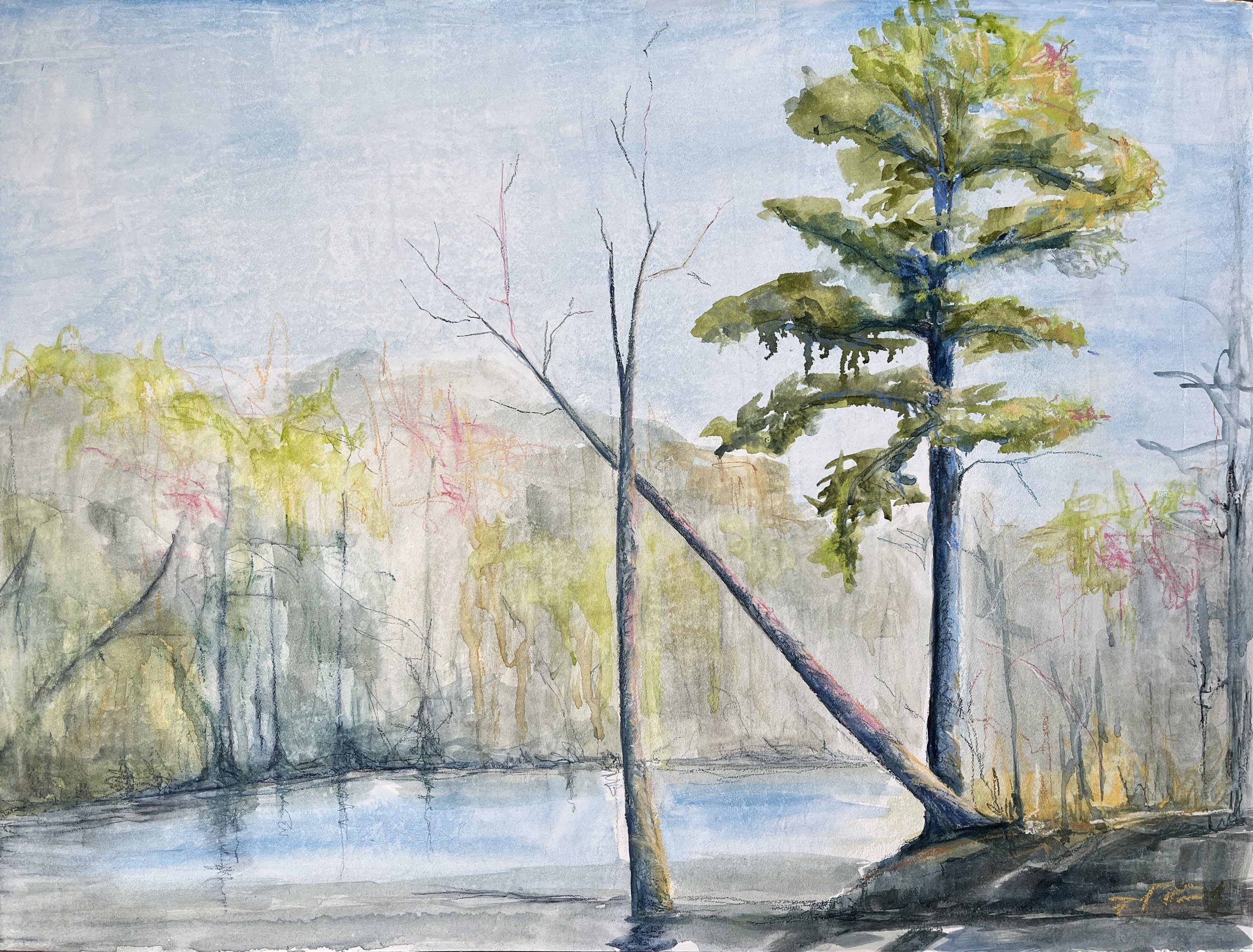 Holding On — to Memories