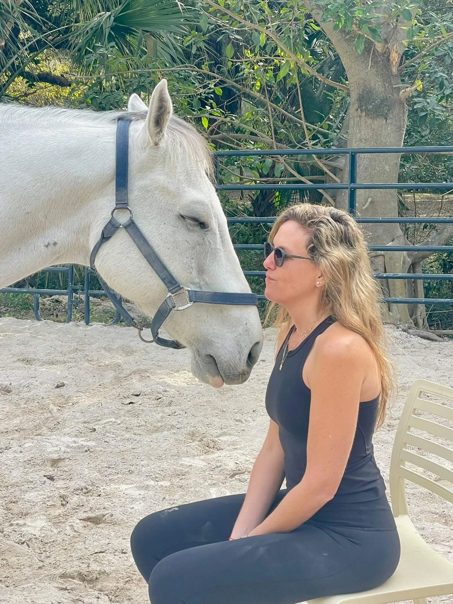 Alternative Stress Relief in Miami, South Florida – Healing with Horses