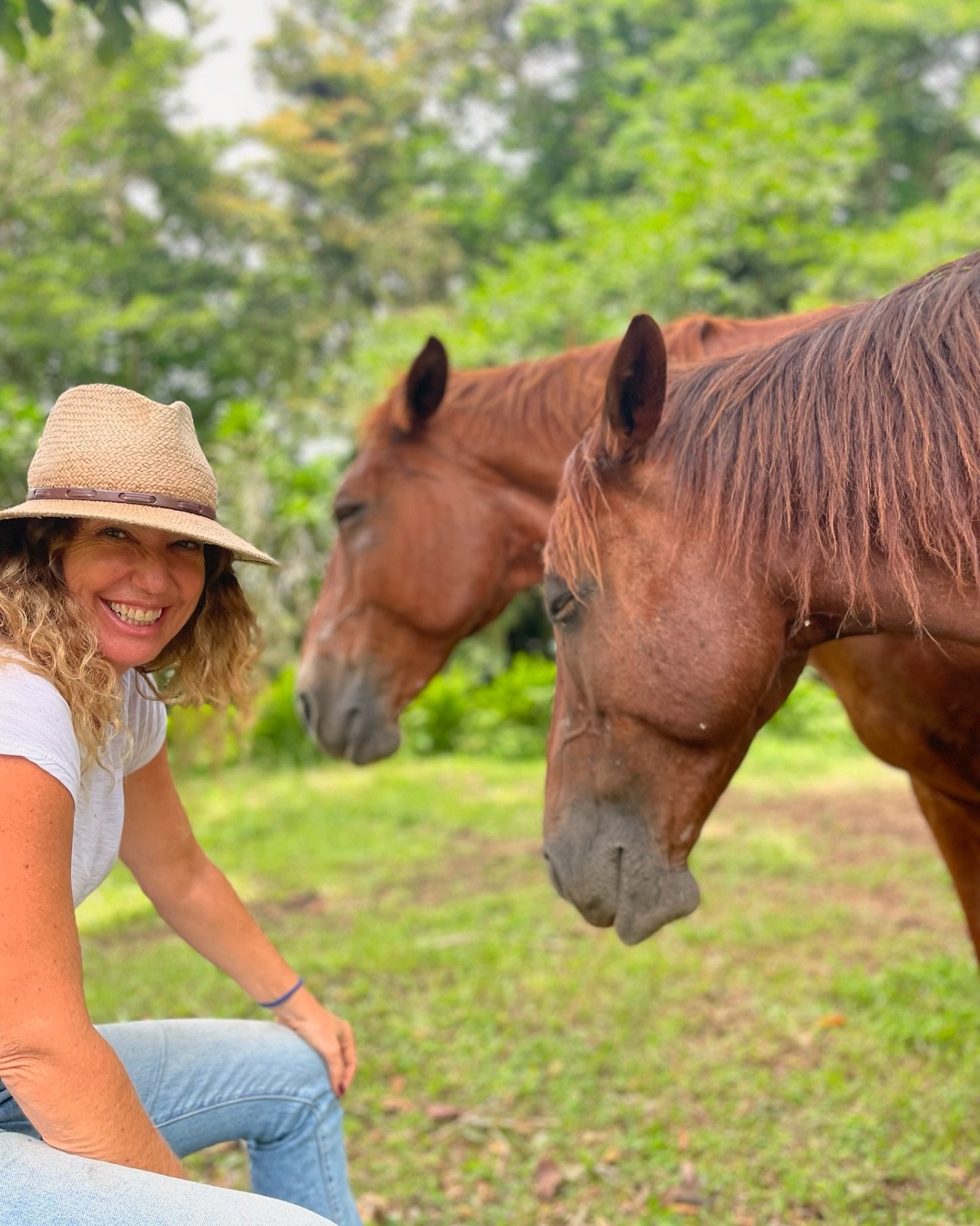 Ever felt like the world doesn&rsquo;t understand you? Horses do. 🐴😊These wise, gentle beings have a way of seeing through the noise and connecting with the real you&mdash;the one that&rsquo;s been hidden beneath the fears and doubts. Through Equin