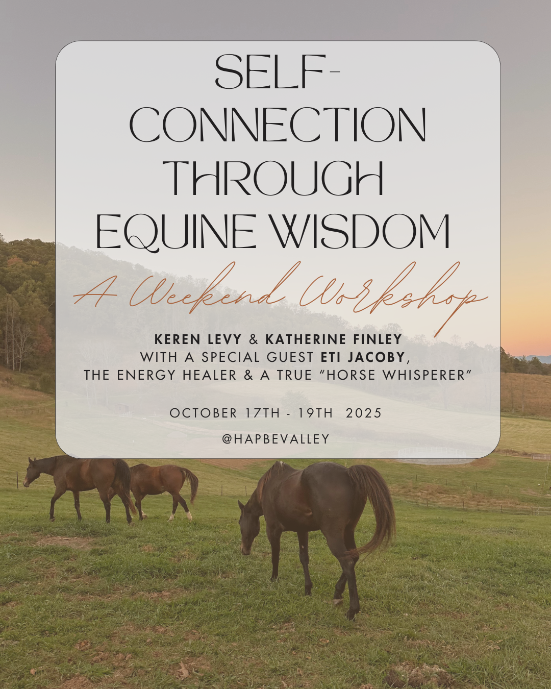 3 Day Self-Connection Through Equine Wisdom Retreat