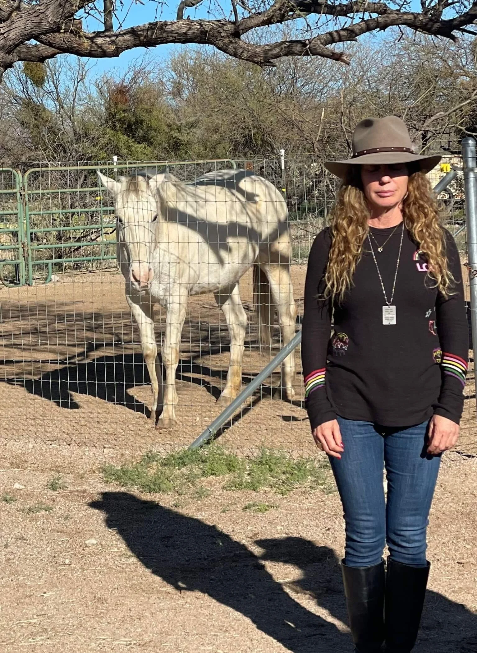 Mind-Body Connection with Horses