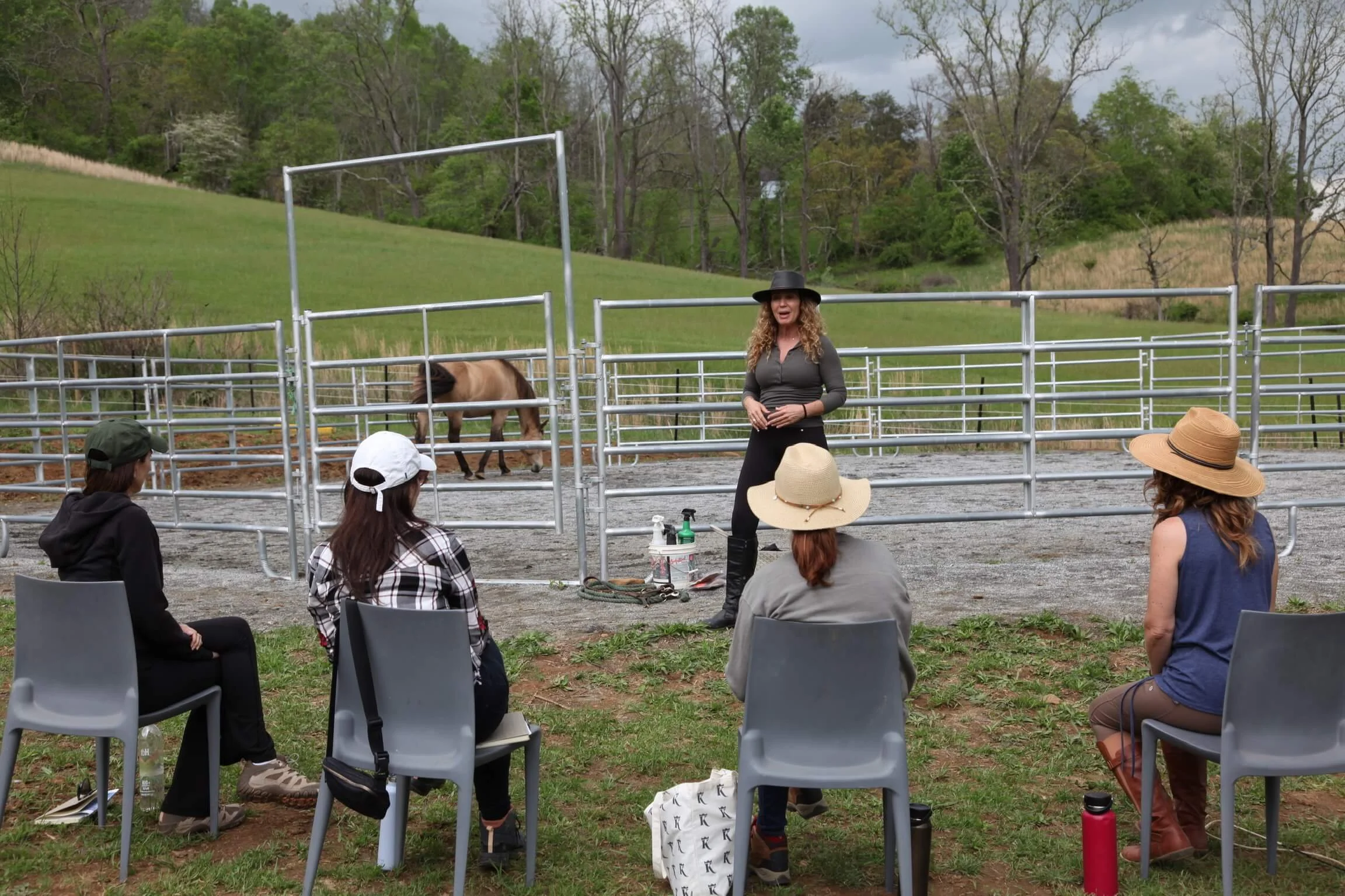 Women’s Horse Retreats for Emotional Growth