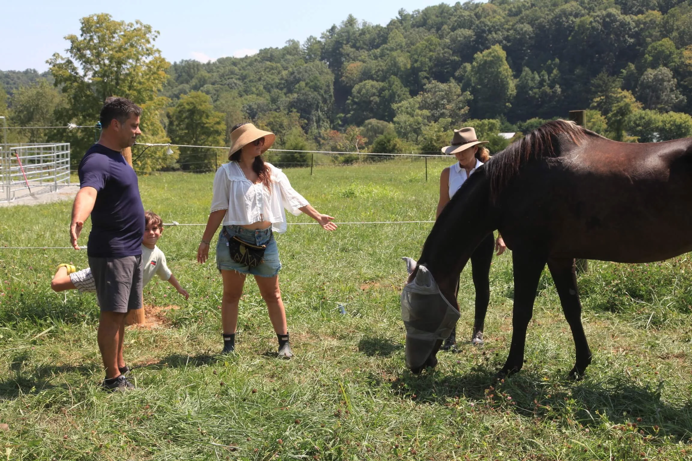 Family Horse Experiences in Miami – Connection Without Riding