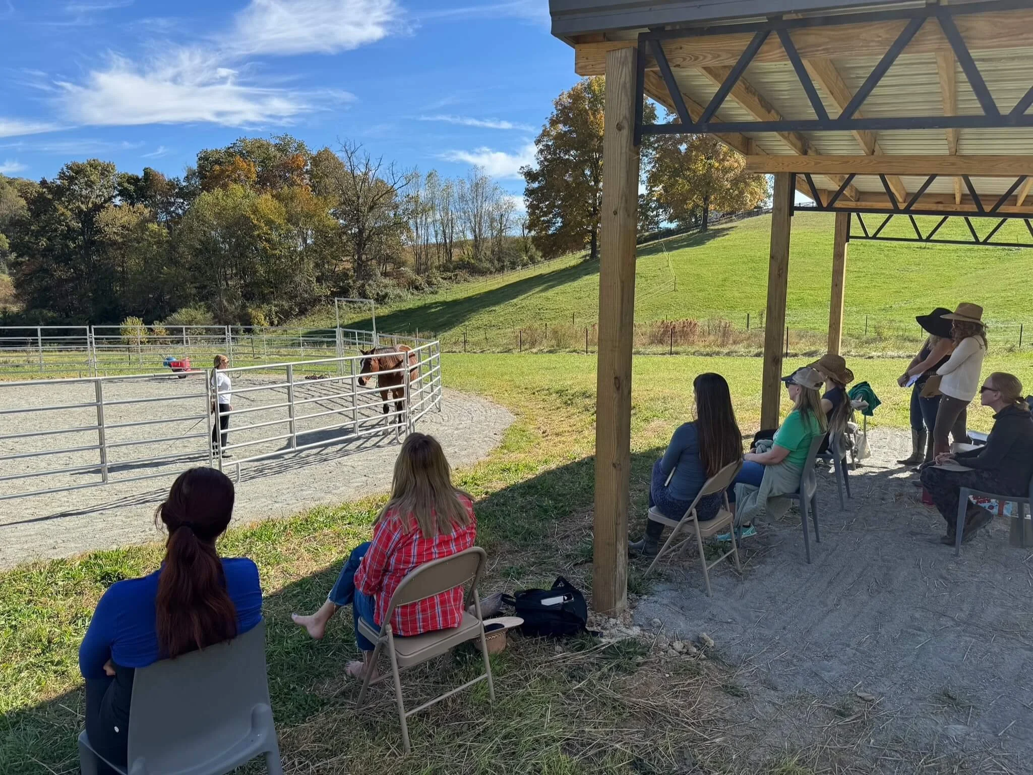 Corporate Leadership Training with Horses – Lessons in Authentic Leadership