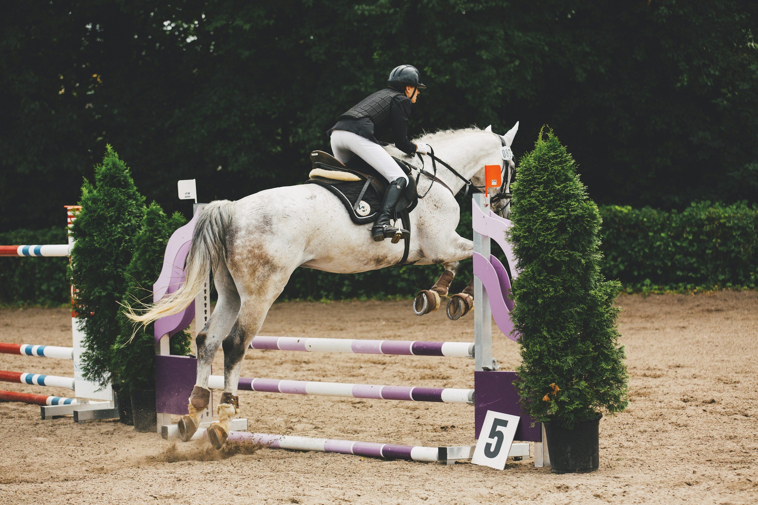Horse Shows &amp; Mindfulness – Bringing Presence to Performance