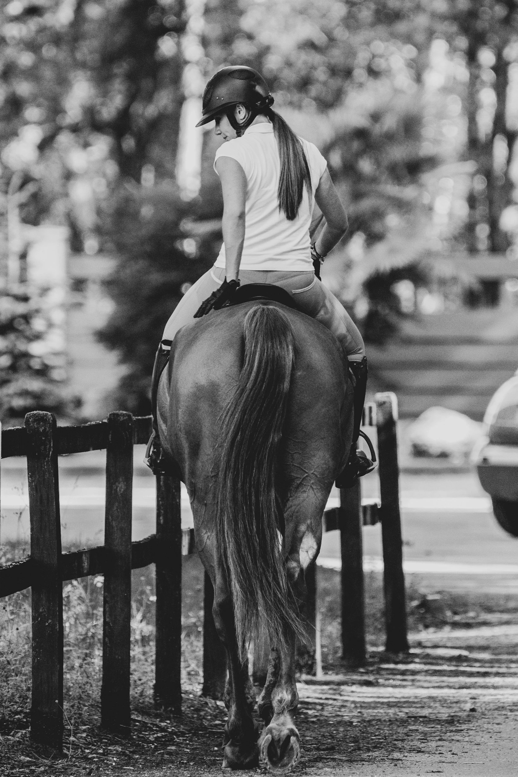 Riding Anxiety and Horses: Transforming Nerves into Confidence