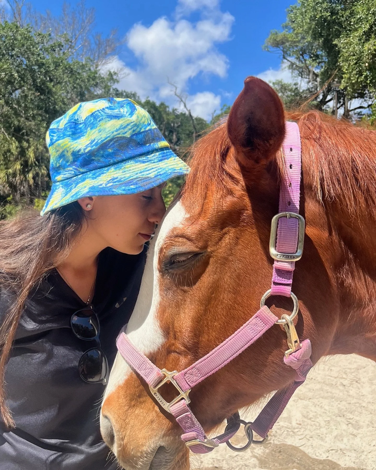 Stress and anxiety have become so common that we&rsquo;ve started to accept them as just part of life. But it doesn&rsquo;t have to be this way. You deserve to feel at ease in your daily life, not overwhelmed. Both my homeopathy and equine guided coa