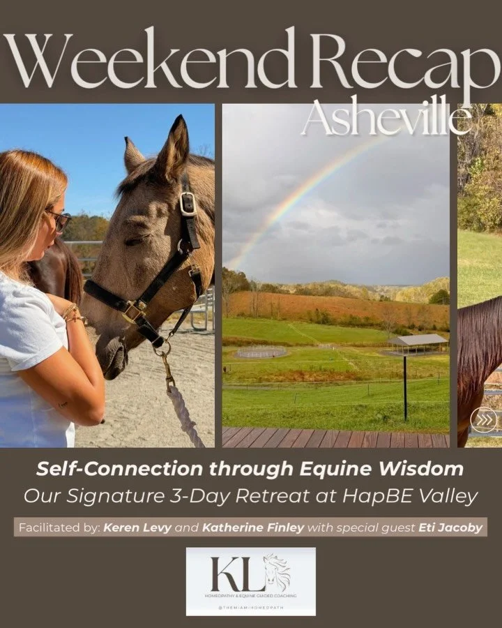 ✨ Reflections from HapBE Valley ✨

Last week&rsquo;s retreat at HapBE Valley Equine &amp; Wellness Farm (@hapbevalley) in Asheville, NC was pure magic. 🌿

Together with my incredible co-facilitator, Katherine Finley (@sovereignheartcoaching), and ou