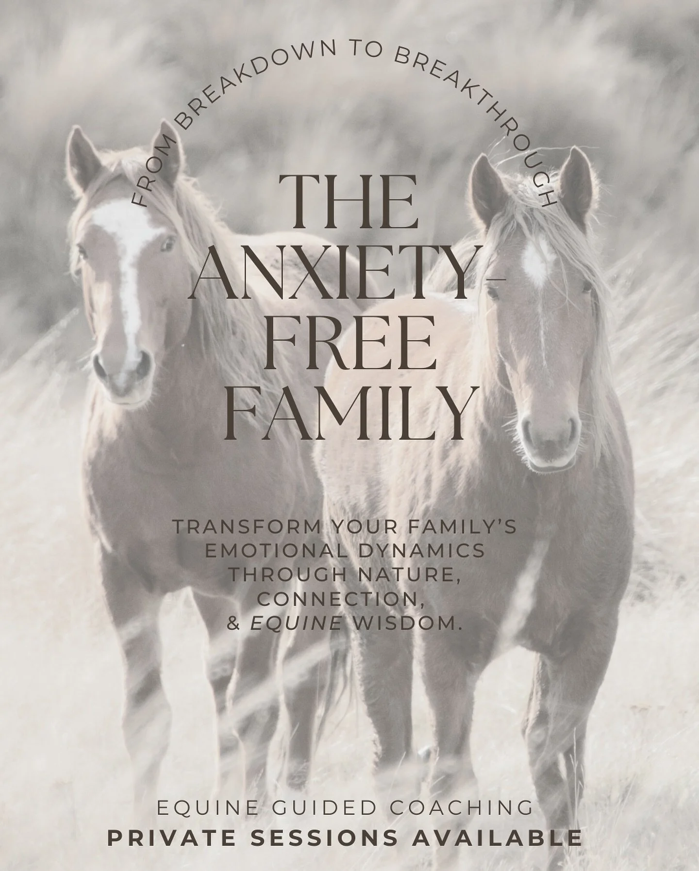 Is your family feeling overwhelmed by anxiety and stress? 🌿 Register now for our one-day workshops with #horses in Miami!

Through #equineguidedcoaching , we&rsquo;ll help your family navigate stress, anxiety, and communication challenges, bringing 
