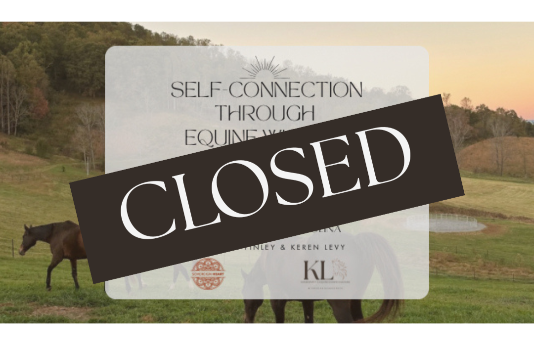 APRIL: 3 Day Self-Connection Through Equine Wisdom Retreat