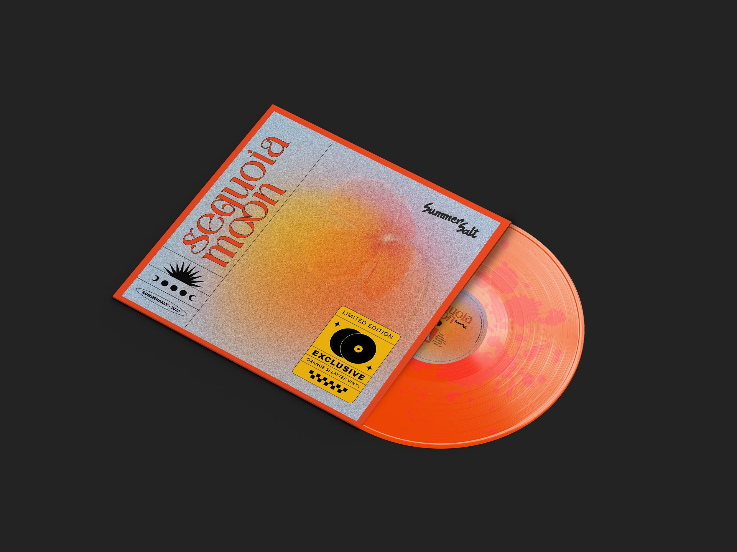 vinyl.jpg