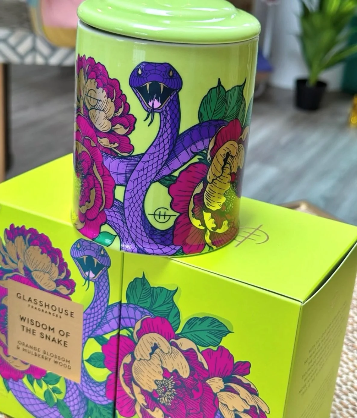 ✨ Just in: Wisdom of the Snake by Glasshouse Fragrances now at FLOK NYC. 🐍

This limited edition candle blends mystery, depth, and luxury in one unforgettable scent. Available in-store while it lasts. #FLOKNYC